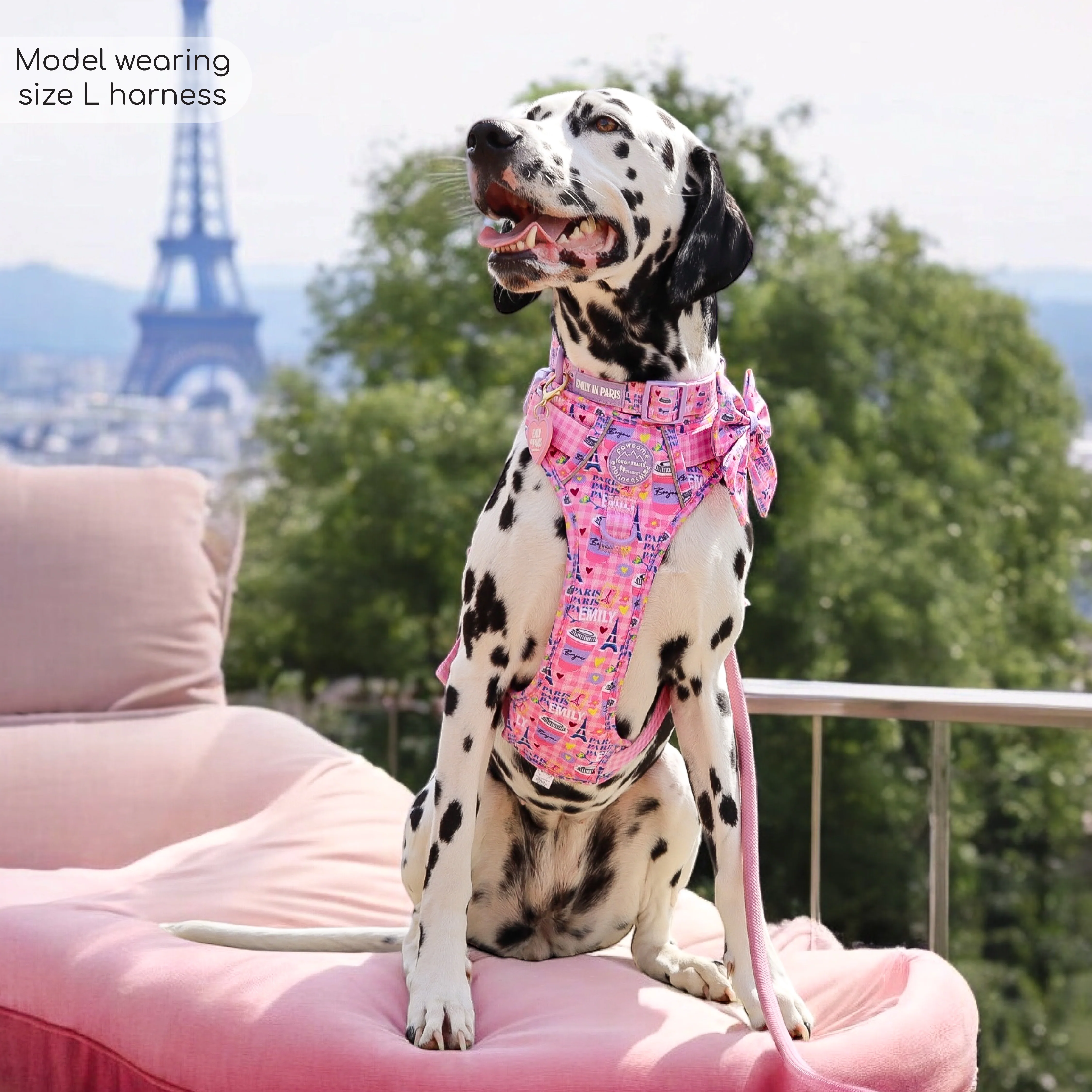 Tough Trails™ Harness - Emily In Paris - Image 8