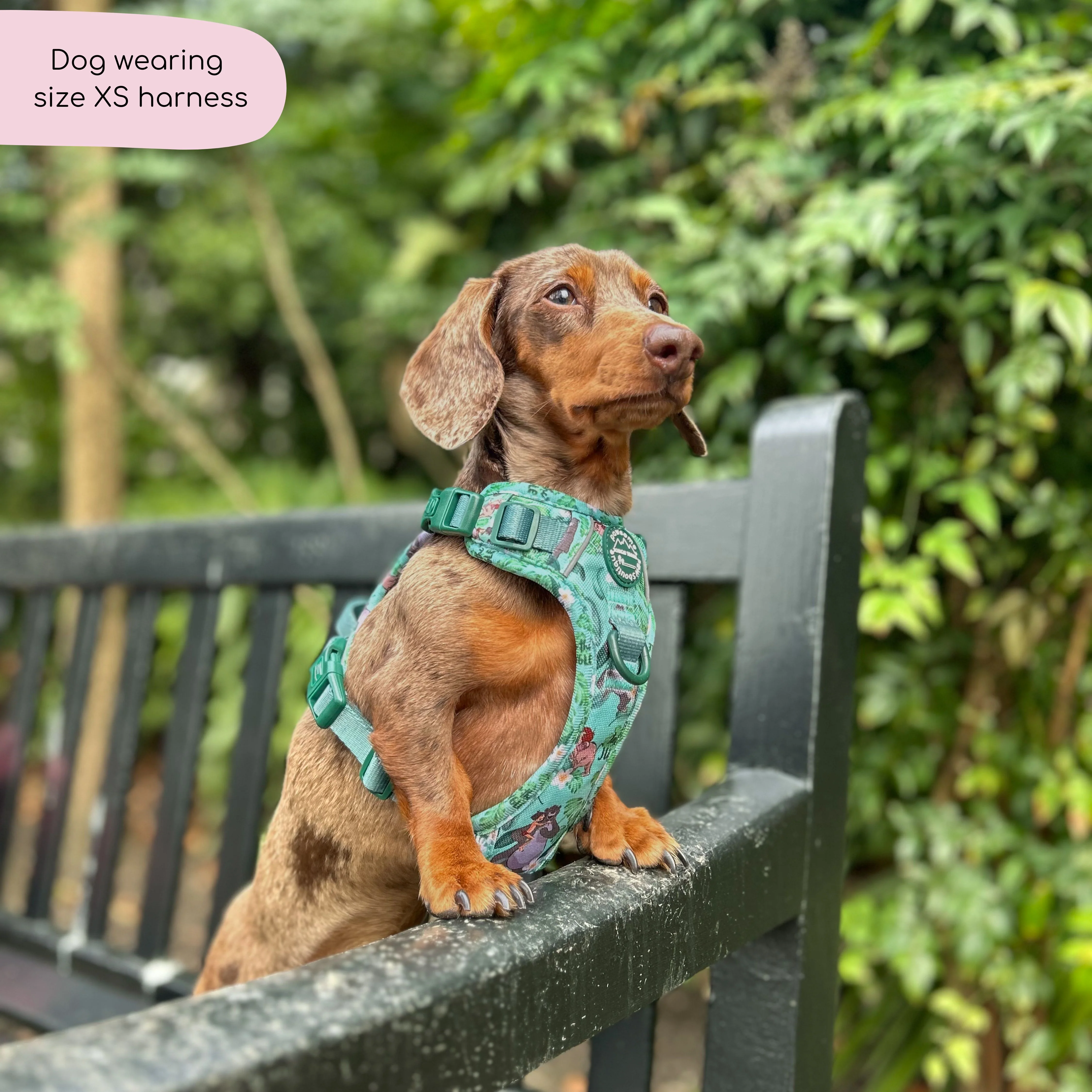 Disney© Tough Trails™ Harness - Jungle Book - Image 23