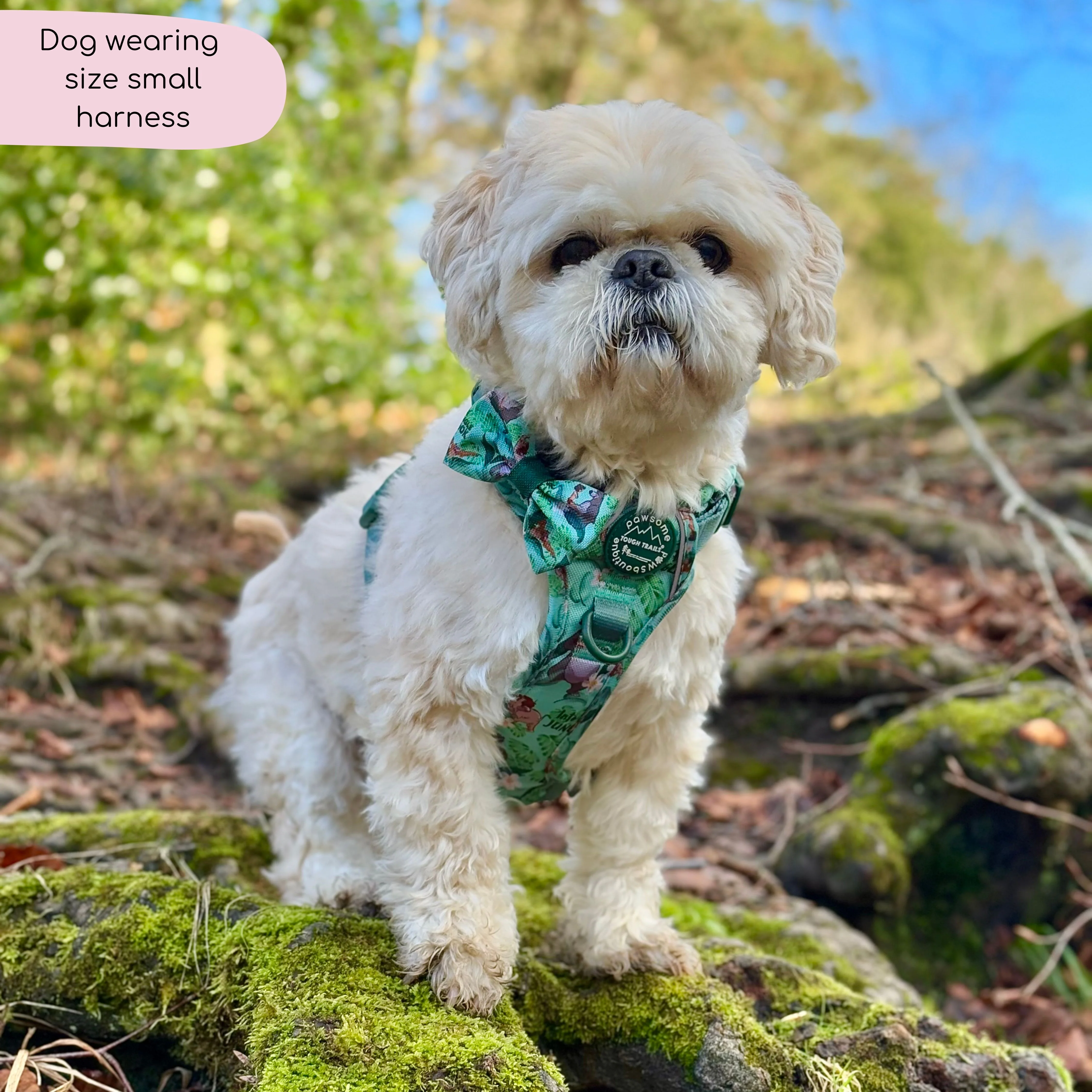 Disney© Tough Trails™ Harness - Jungle Book - Image 6
