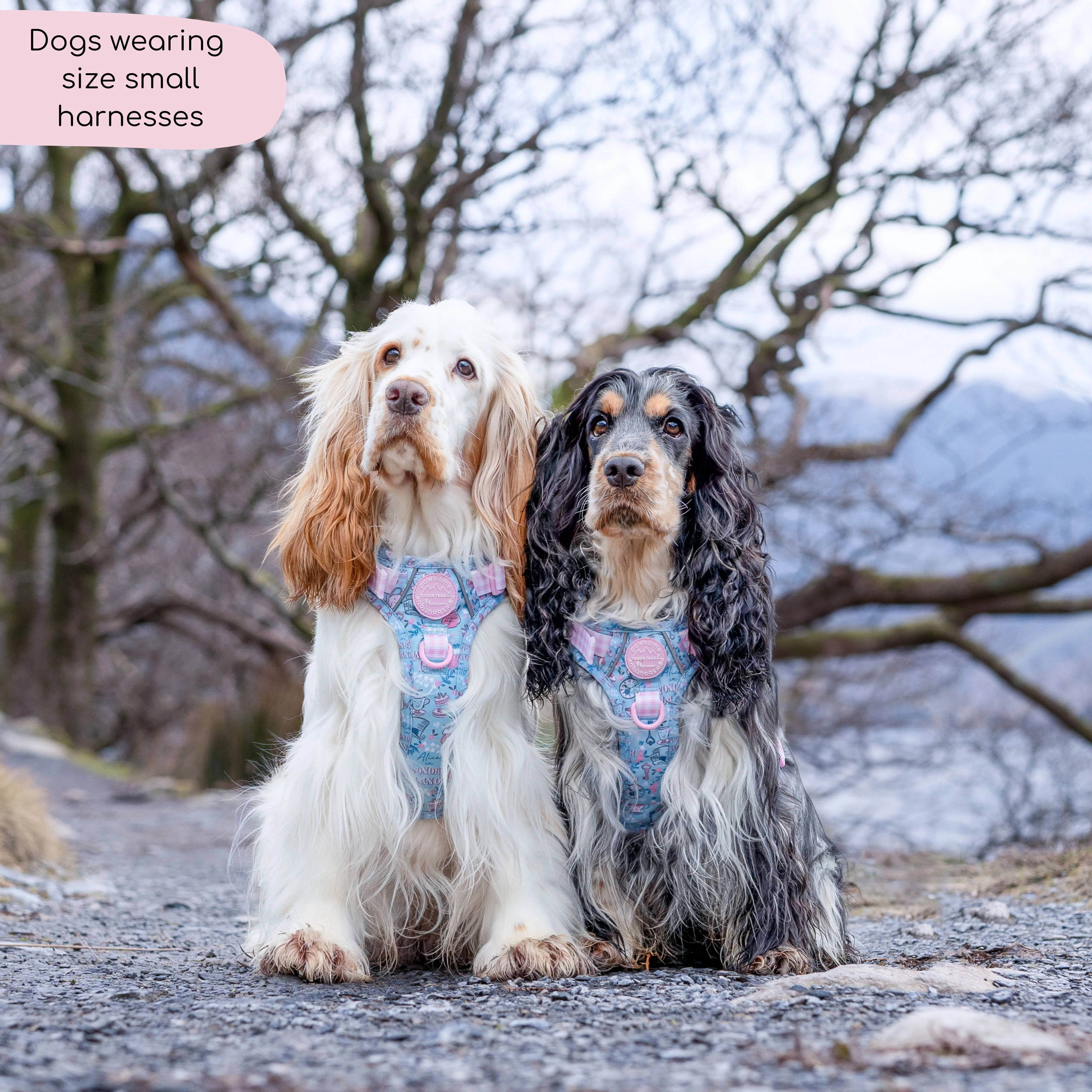 Disney© Tough Trails™ Harness - Mad Hatters Tea Party - Image 4