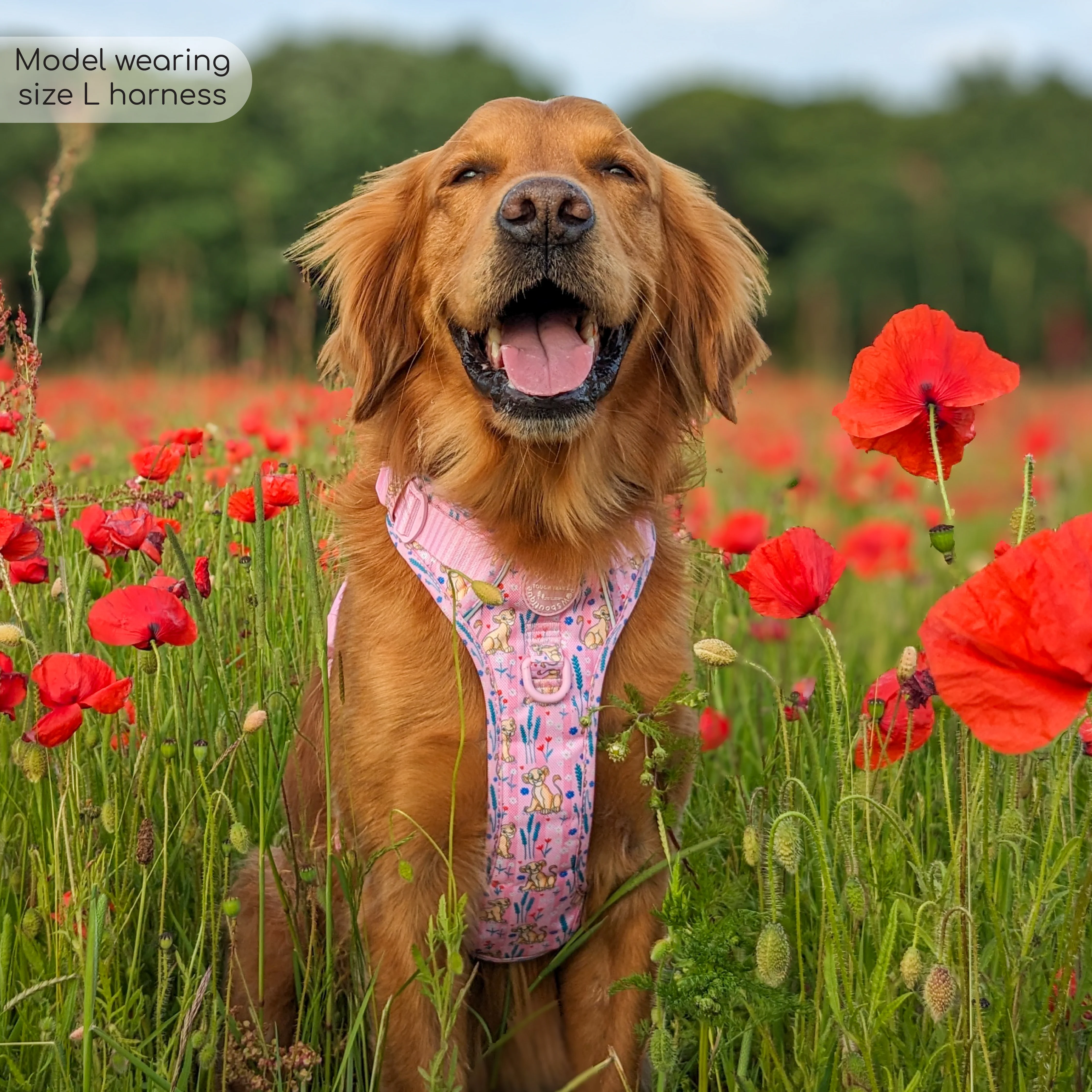 Disney© Tough Trails™ Harness - Nala - Image 23
