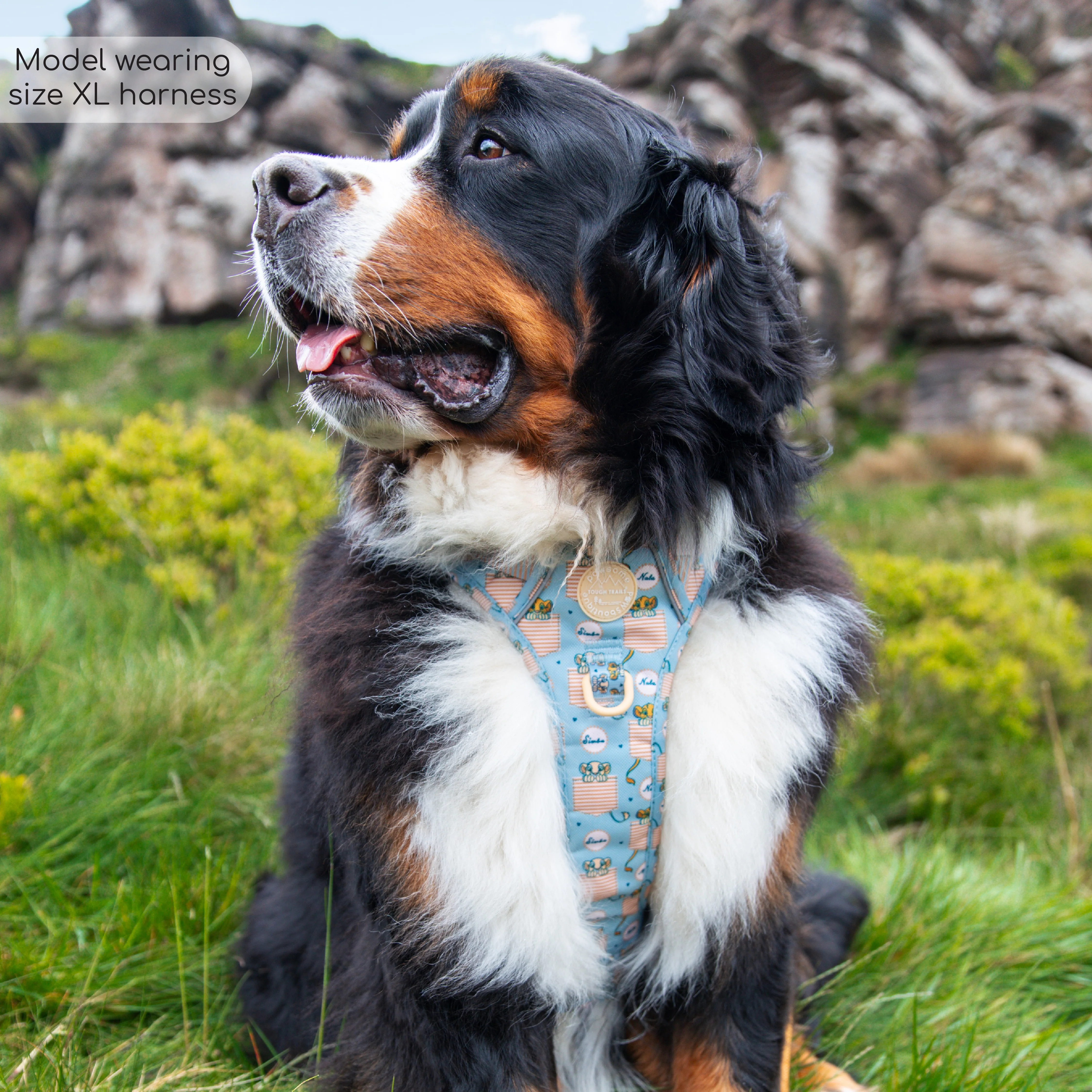 Disney© Tough Trails™ Harness - Lion Friends - Image 20