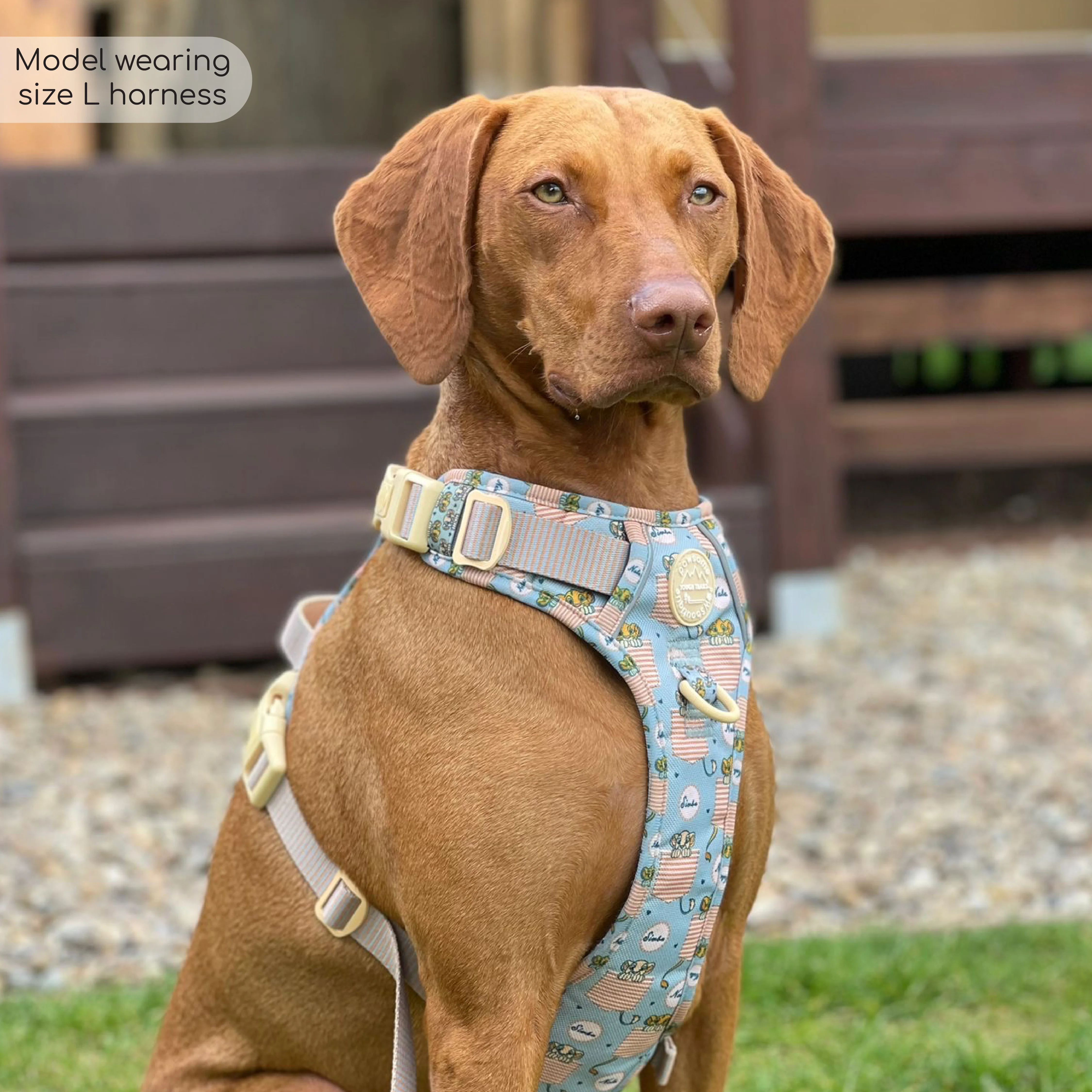 Disney© Tough Trails™ Harness - Lion Friends - Image 21