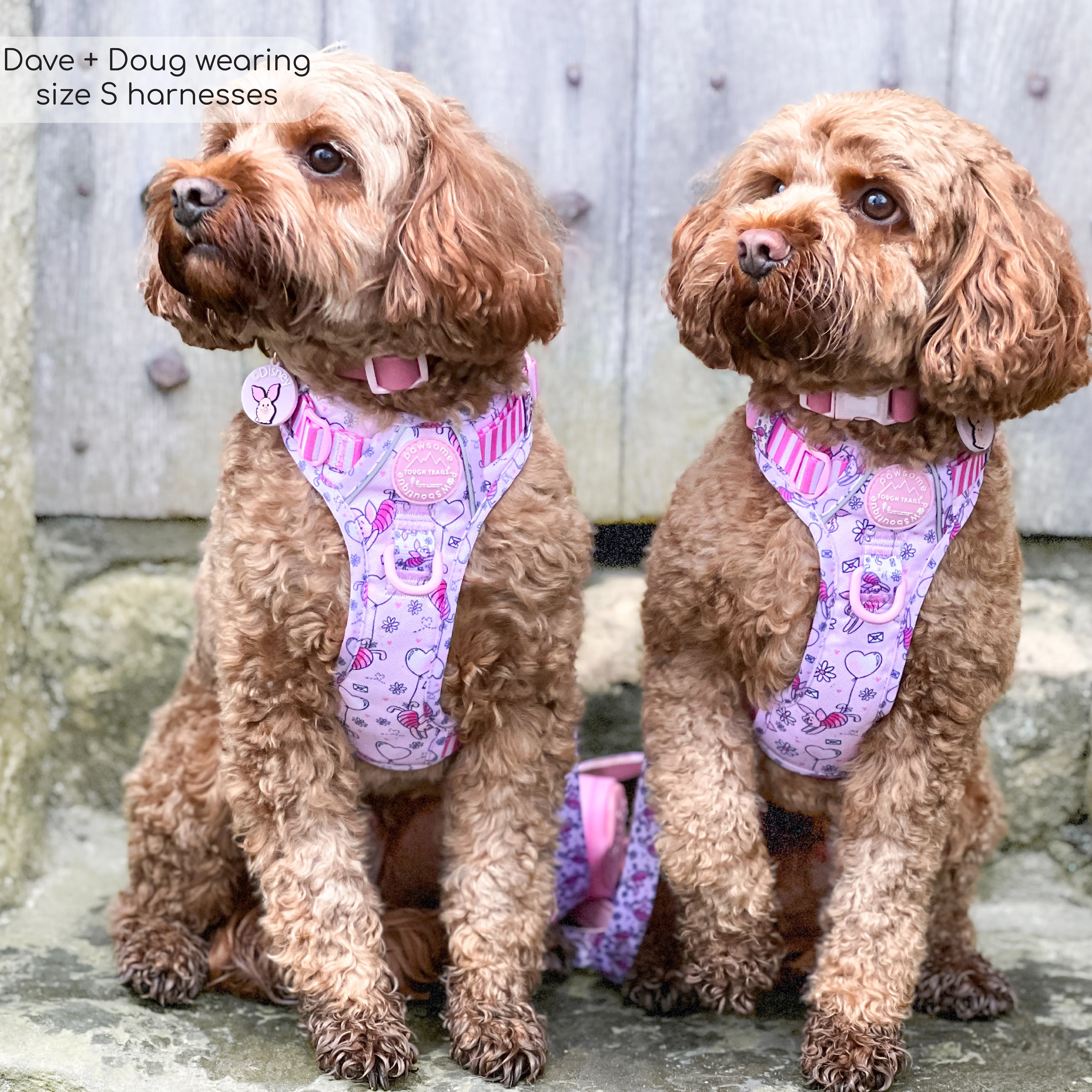 Disney© Tough Trails™ Harness - Piglet - Image 24