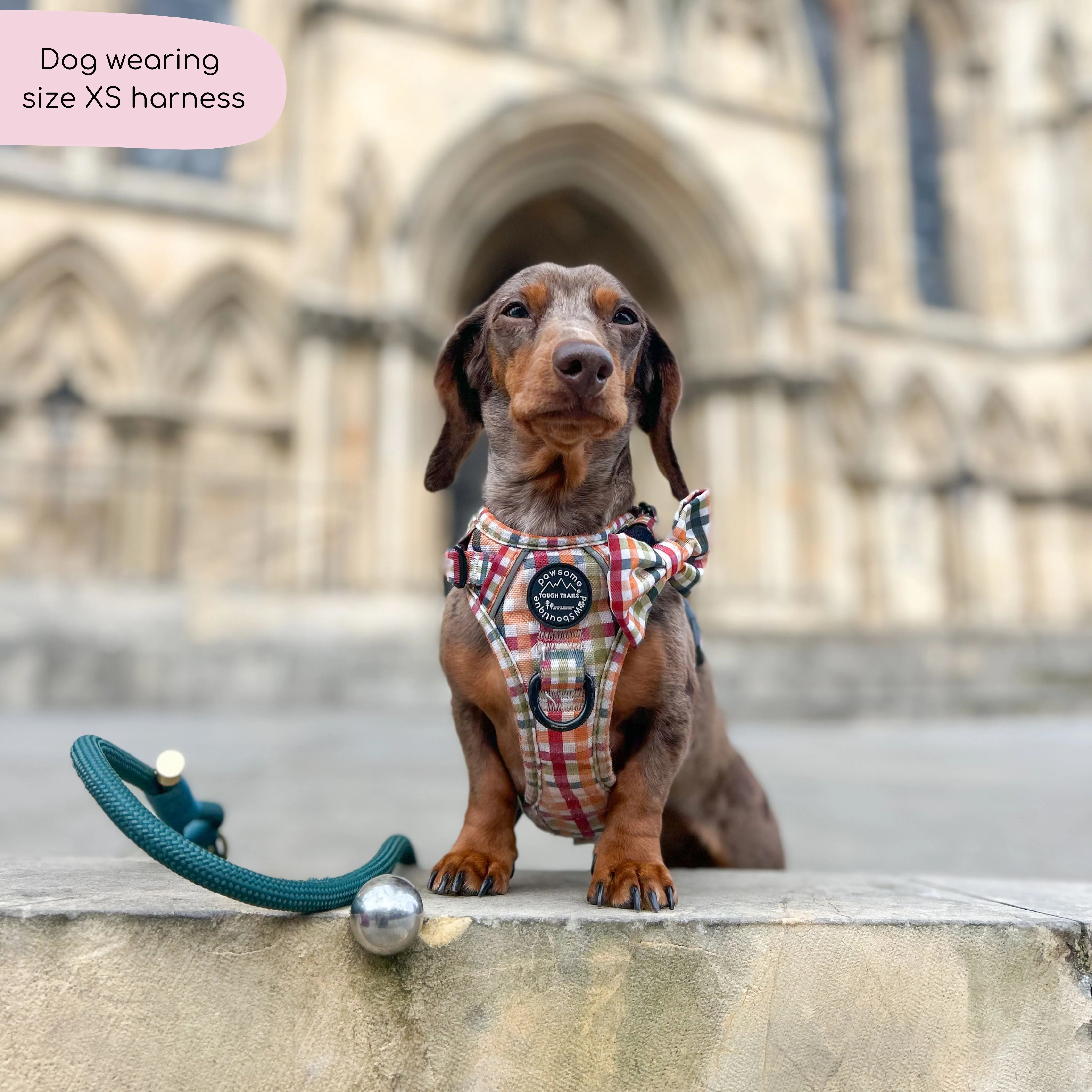 Tough Trails™ Harness - Plaid Pup - Image 10