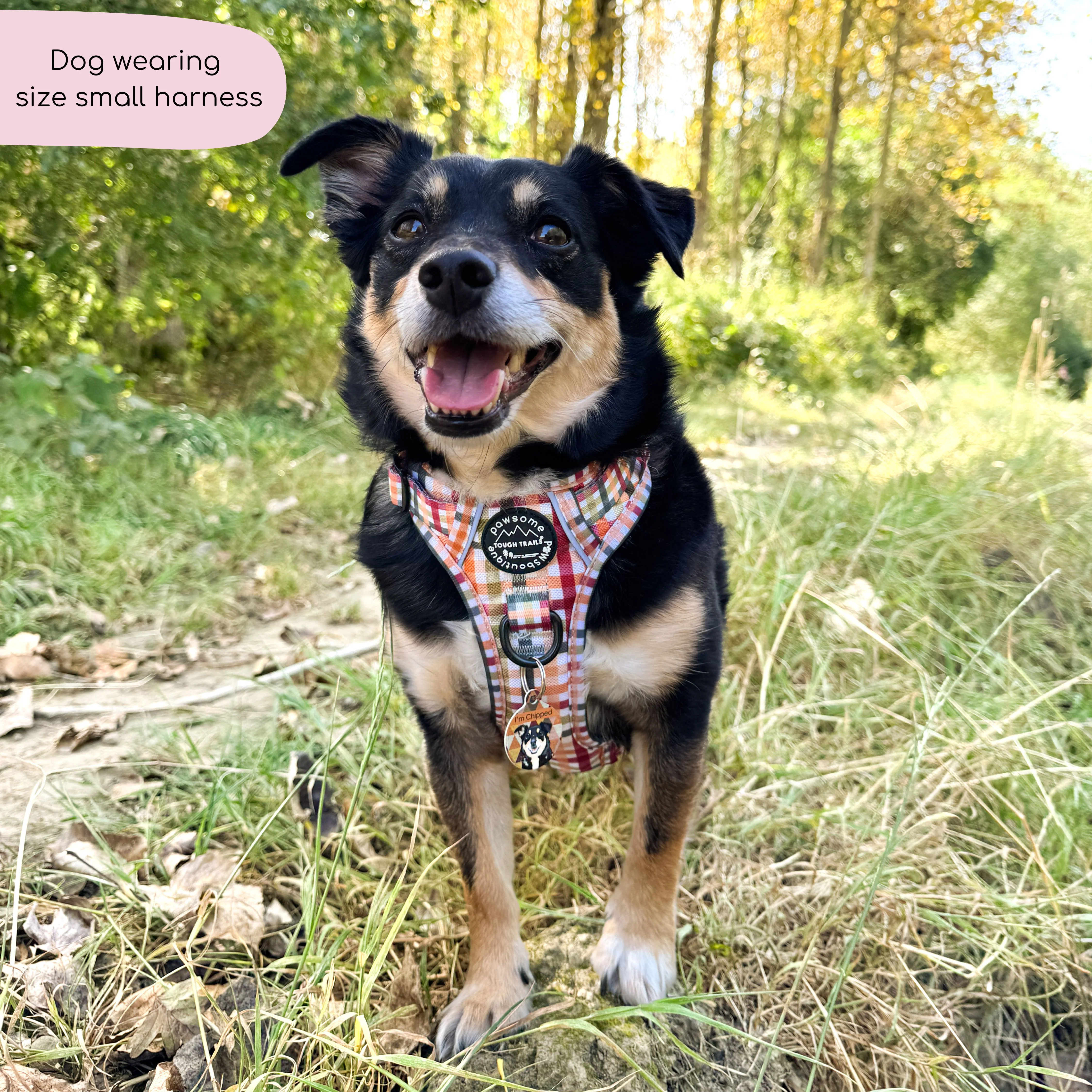 Tough Trails™ Harness - Plaid Pup - Image 11