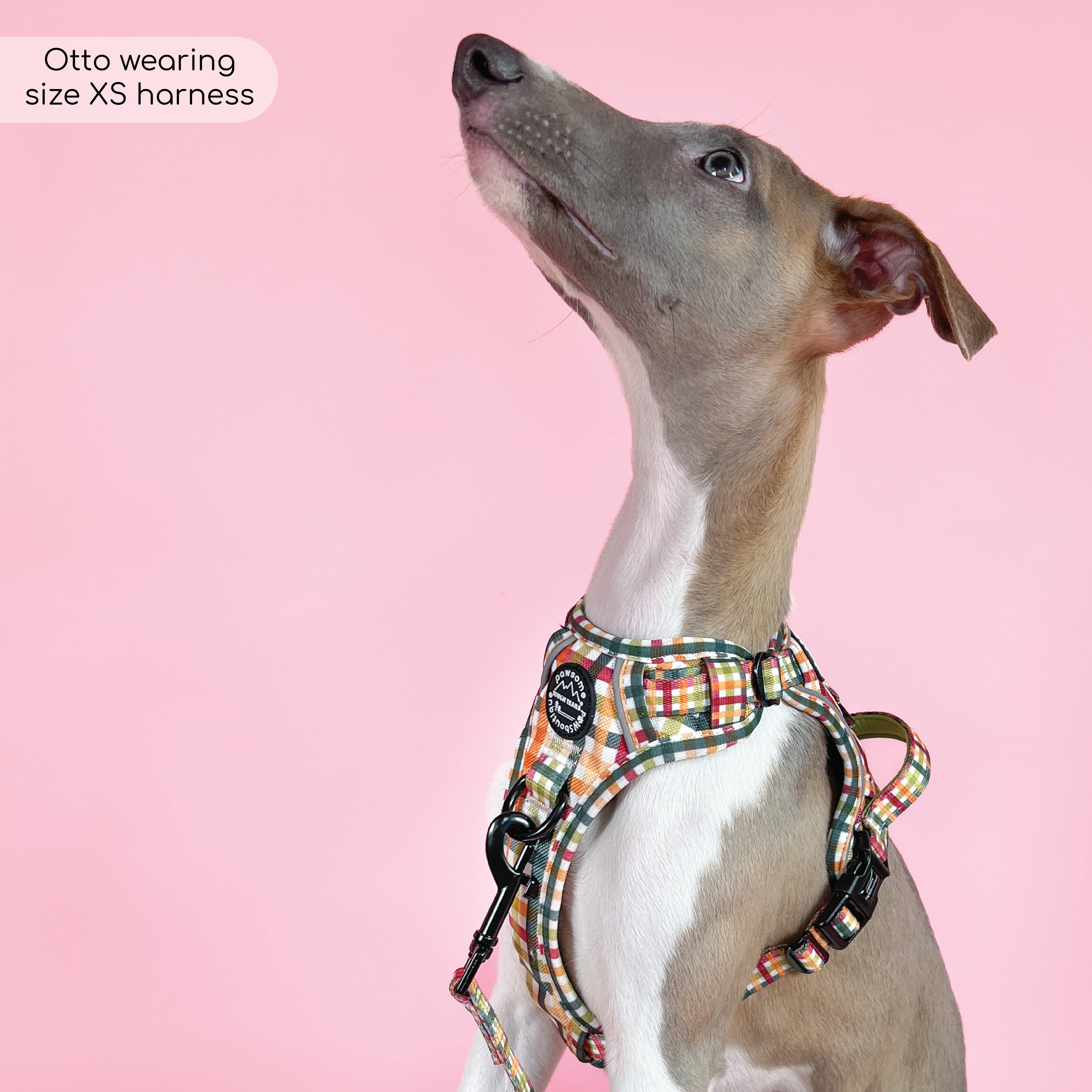 Tough Trails™ Harness - Plaid Pup - Image 12