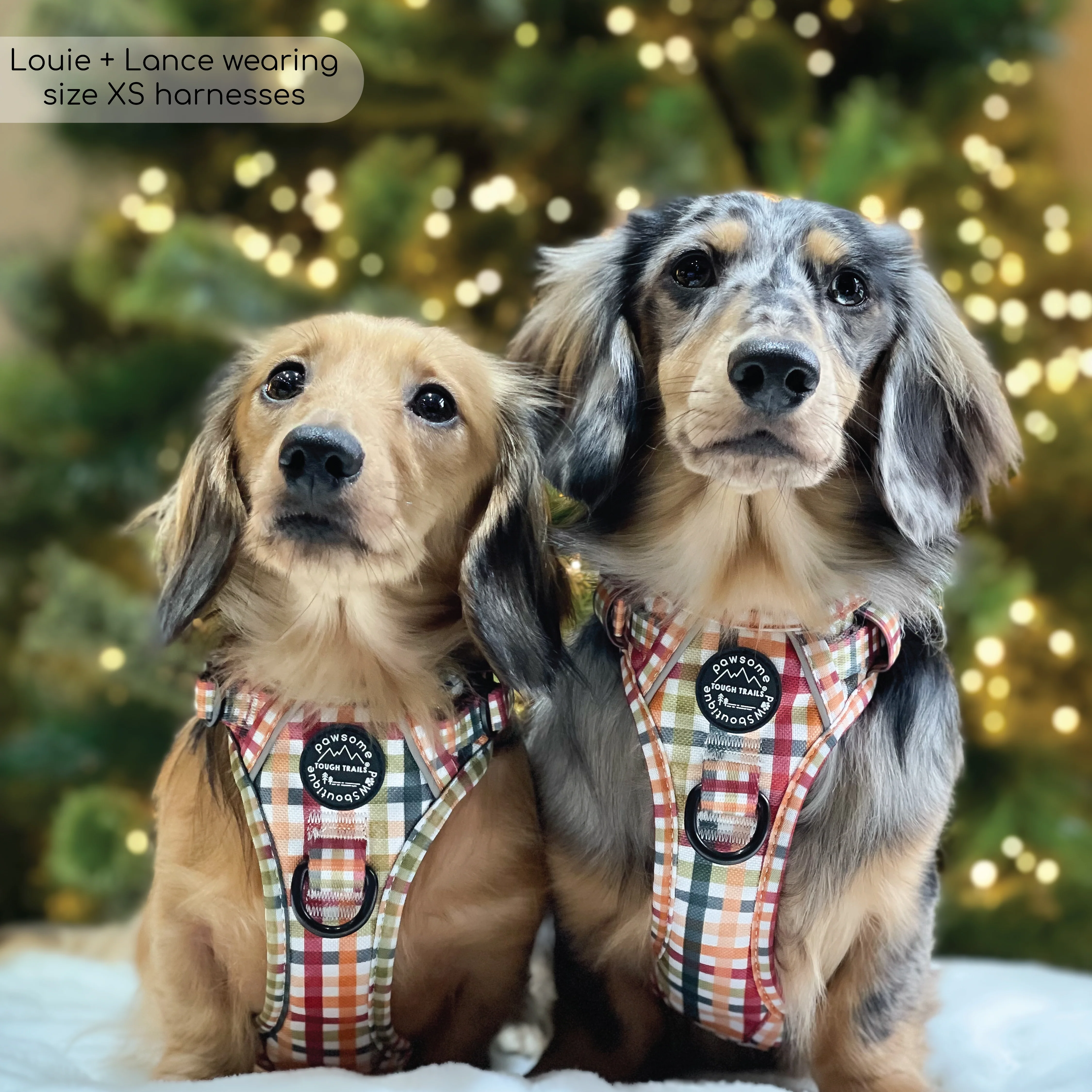 Tough Trails™ Harness - Plaid Pup - Image 13