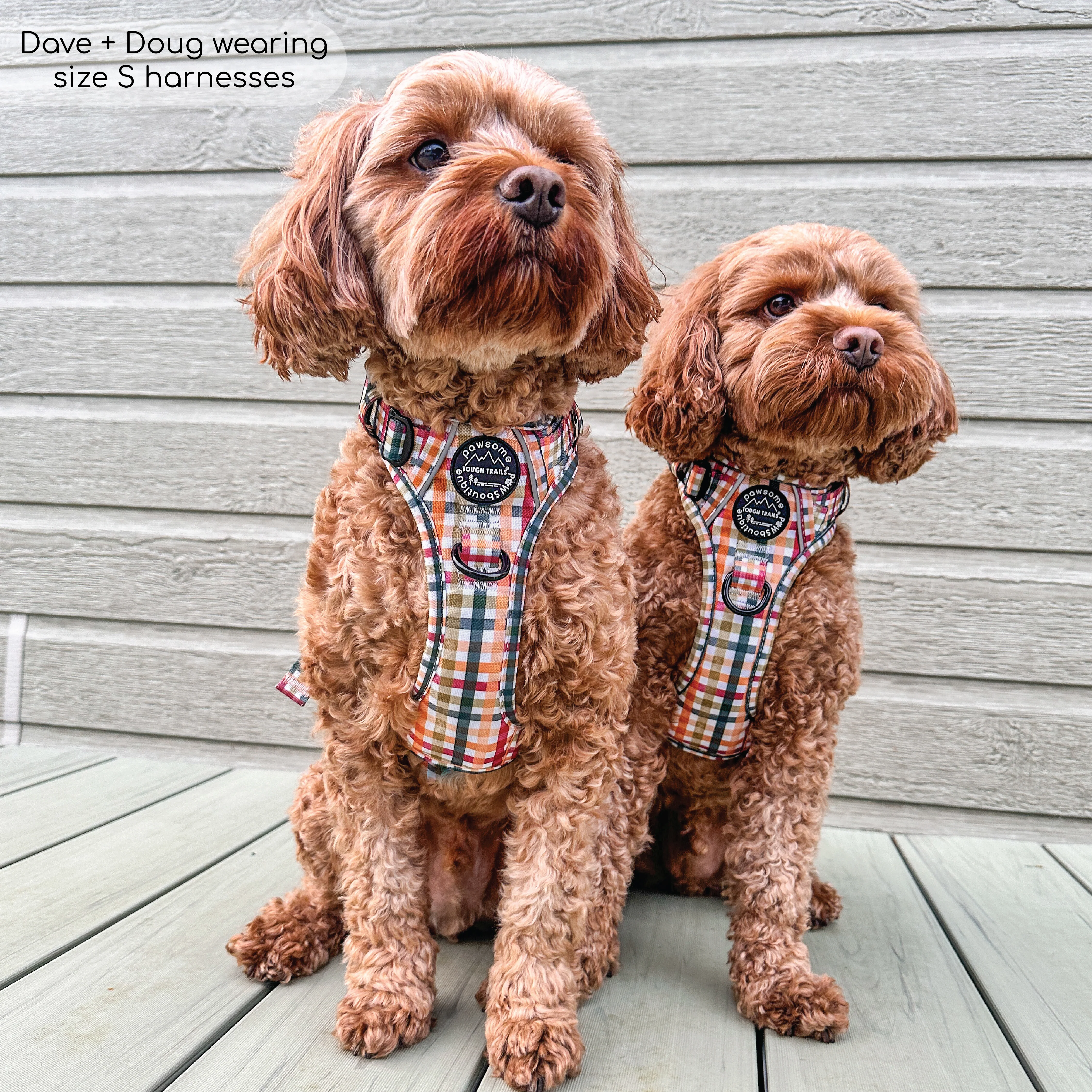Tough Trails™ Harness - Plaid Pup - Image 15