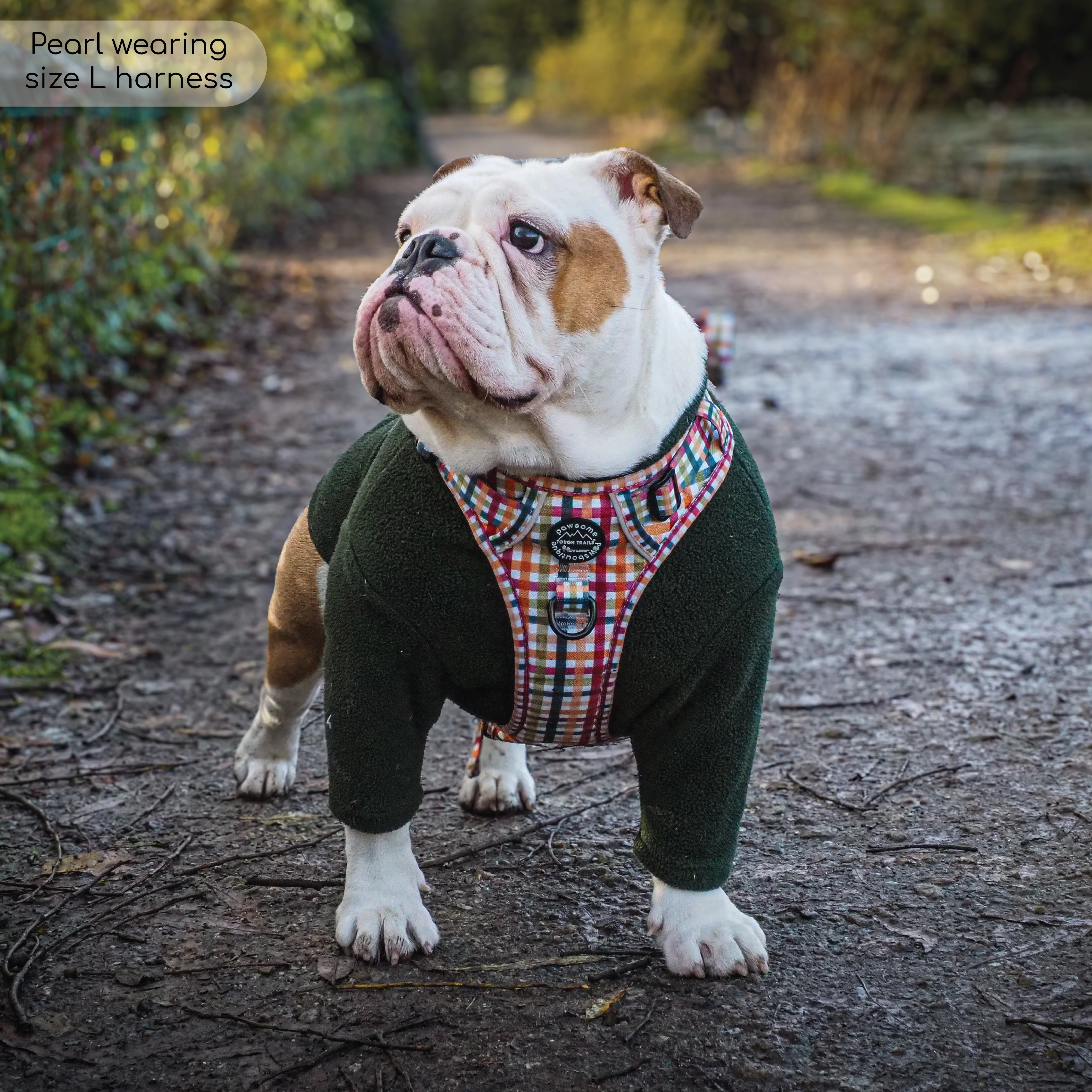 Tough Trails™ Harness - Plaid Pup - Image 17