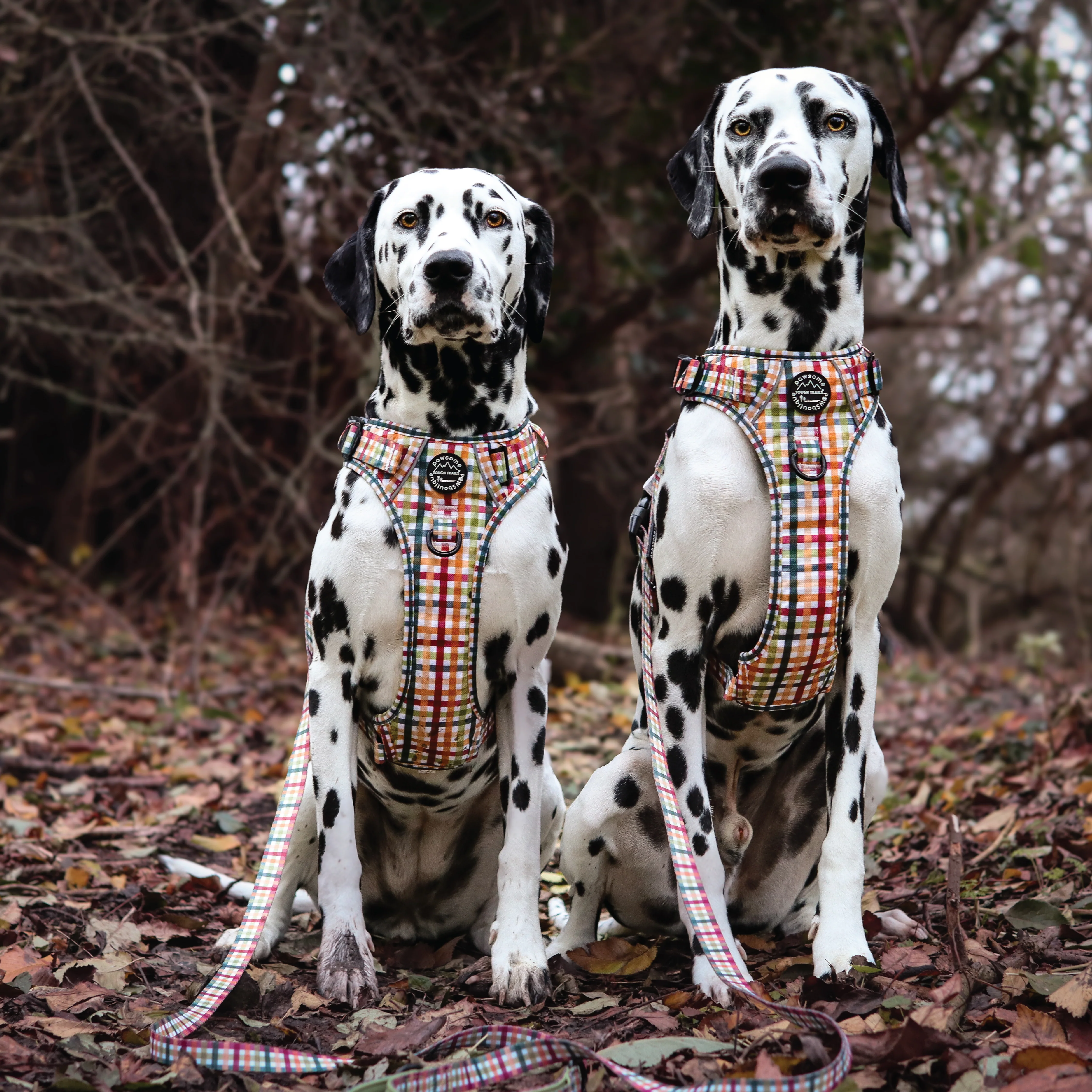 Tough Trails™ Harness - Plaid Pup - Image 19