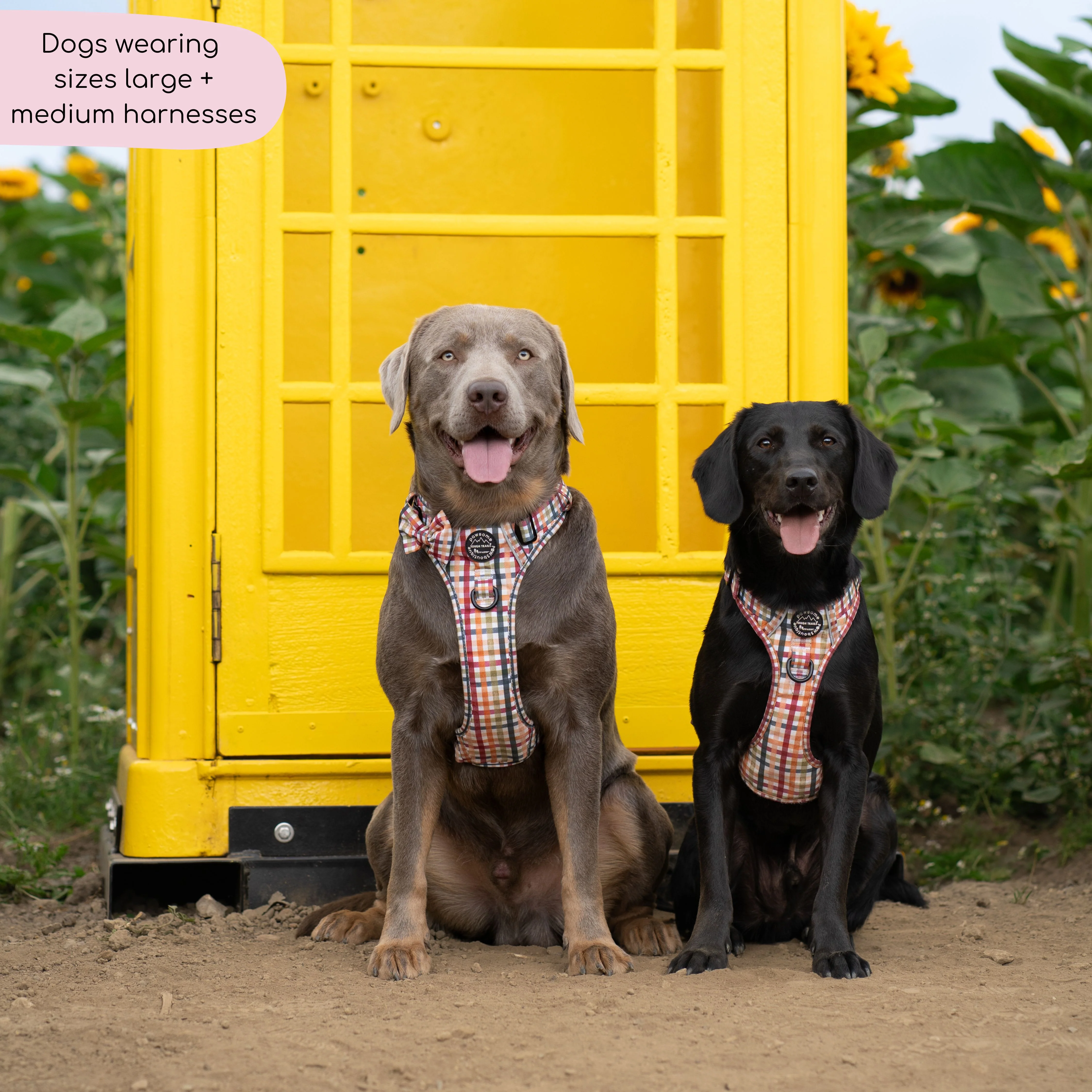 Tough Trails™ Harness - Plaid Pup - Image 4