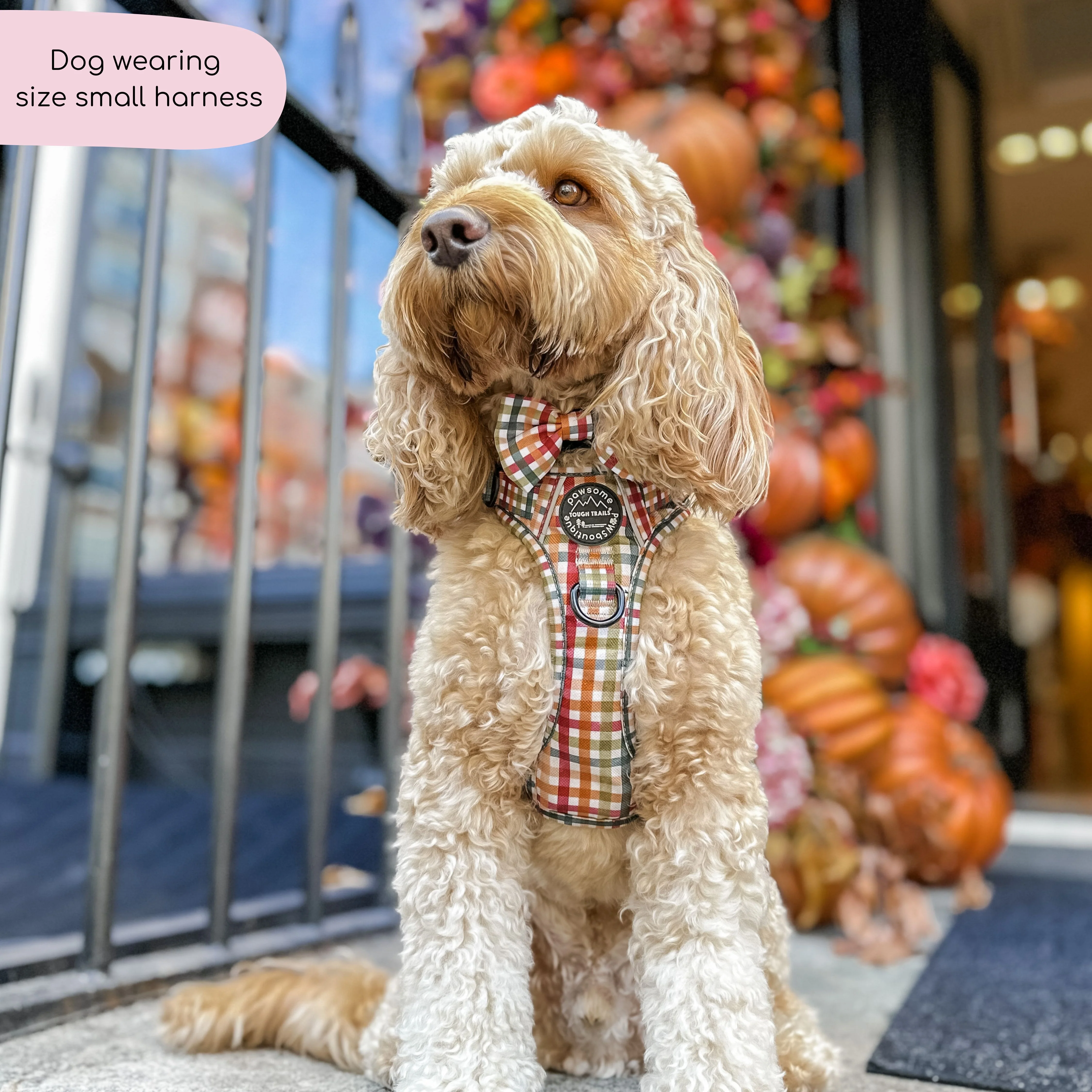 Tough Trails™ Harness - Plaid Pup - Image 5