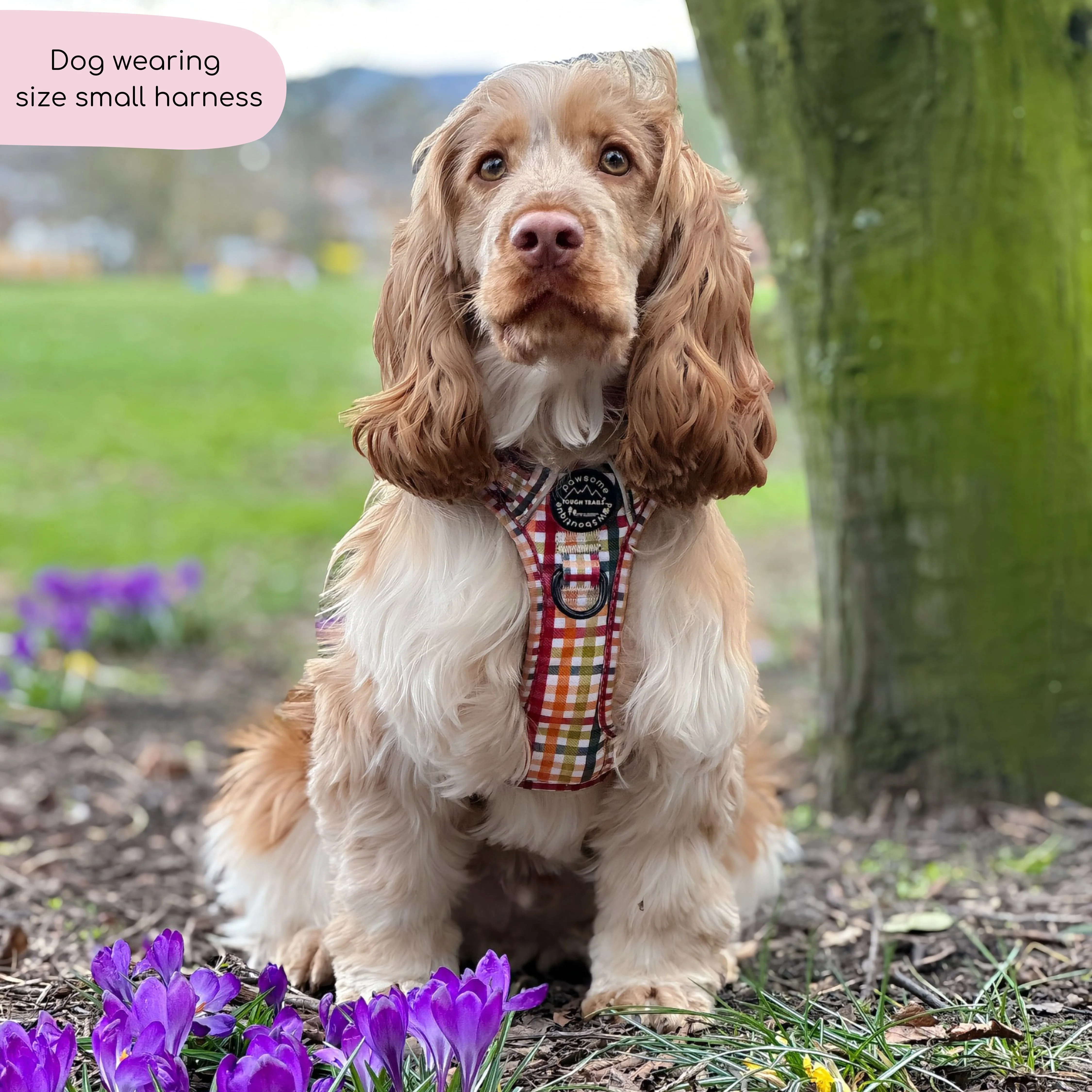 Tough Trails™ Harness - Plaid Pup - Image 7