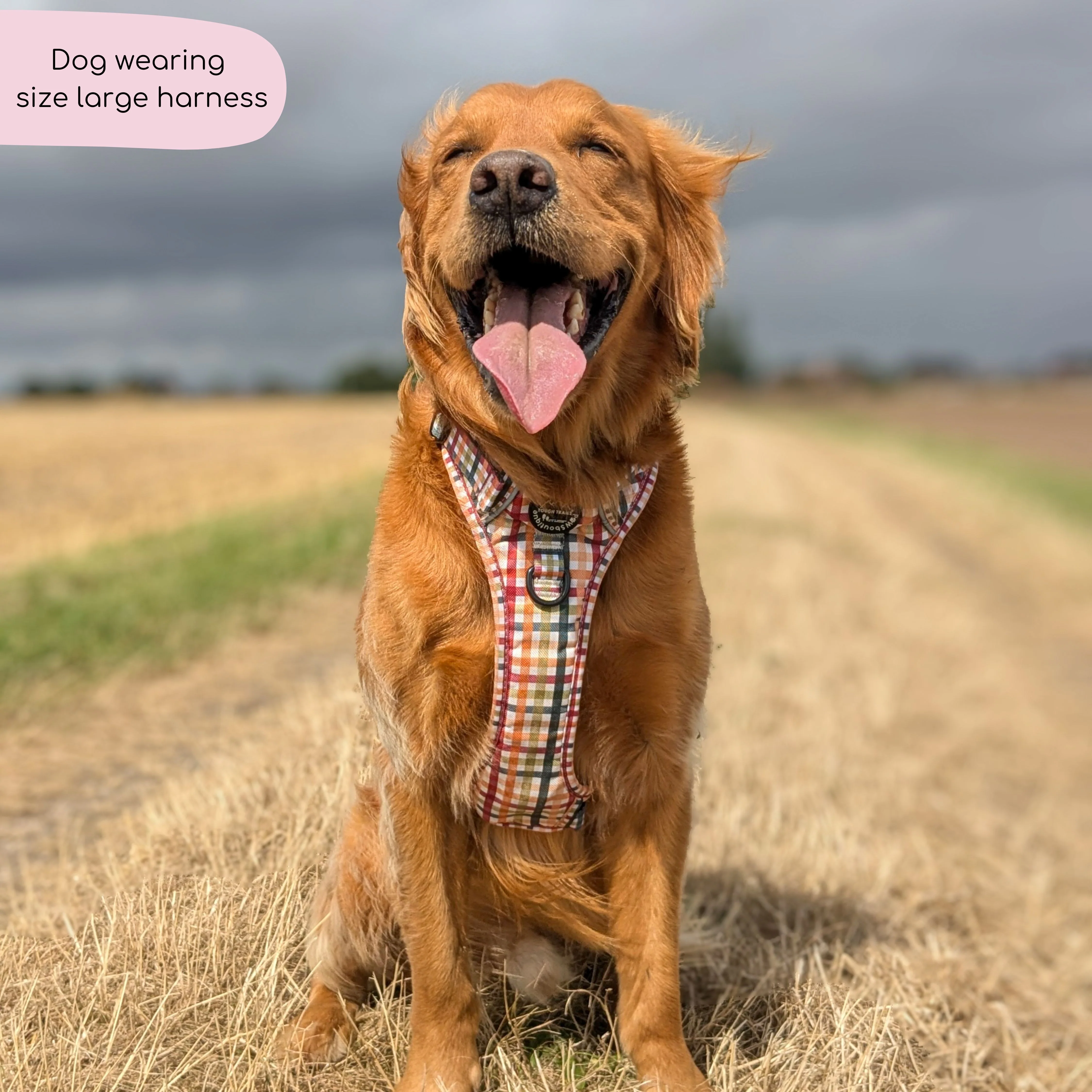 Tough Trails™ Harness - Plaid Pup - Image 8