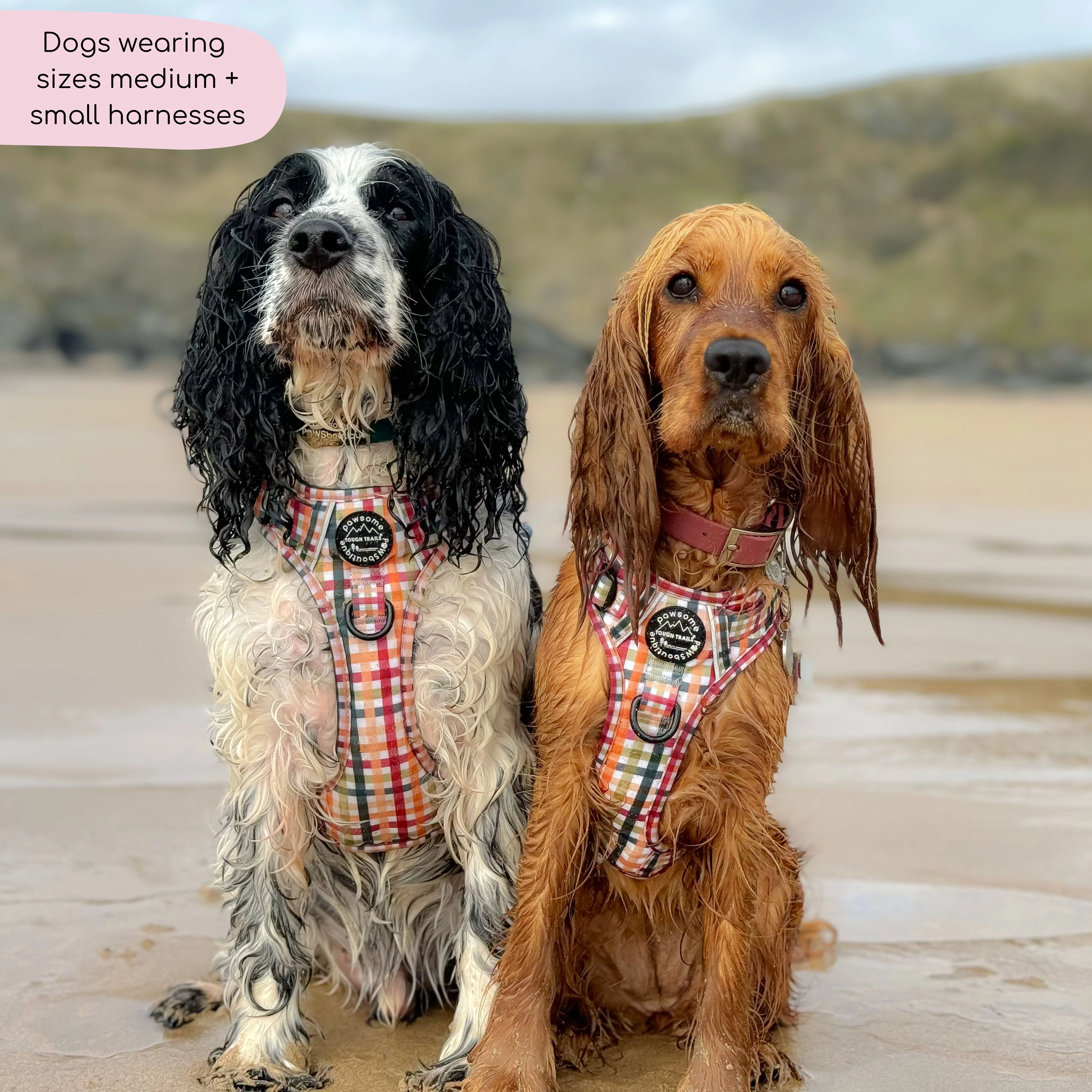 Tough Trails™ Harness - Plaid Pup - Image 9