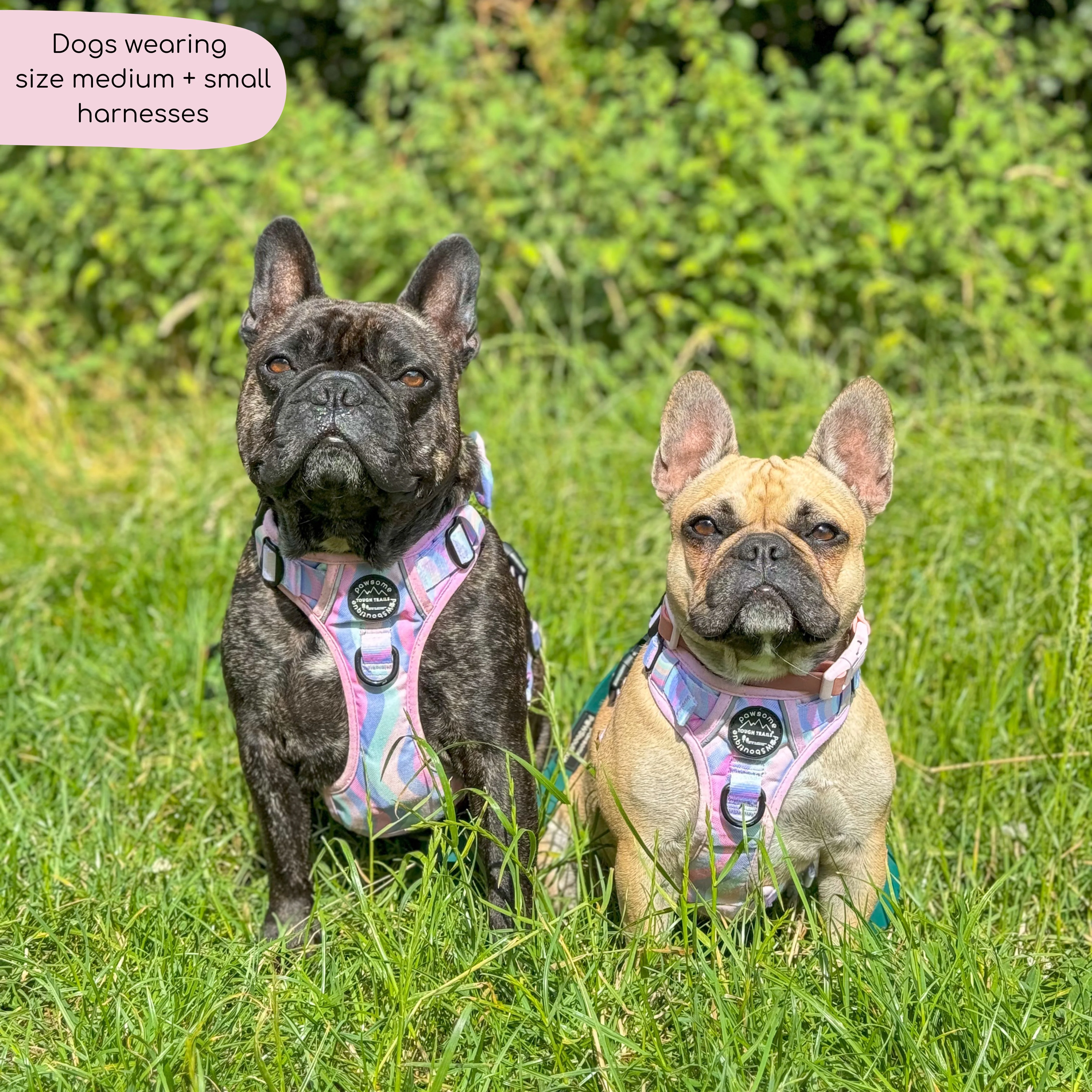 Tough Trails™ Harness - PPB Pastel Swirl - Image 14