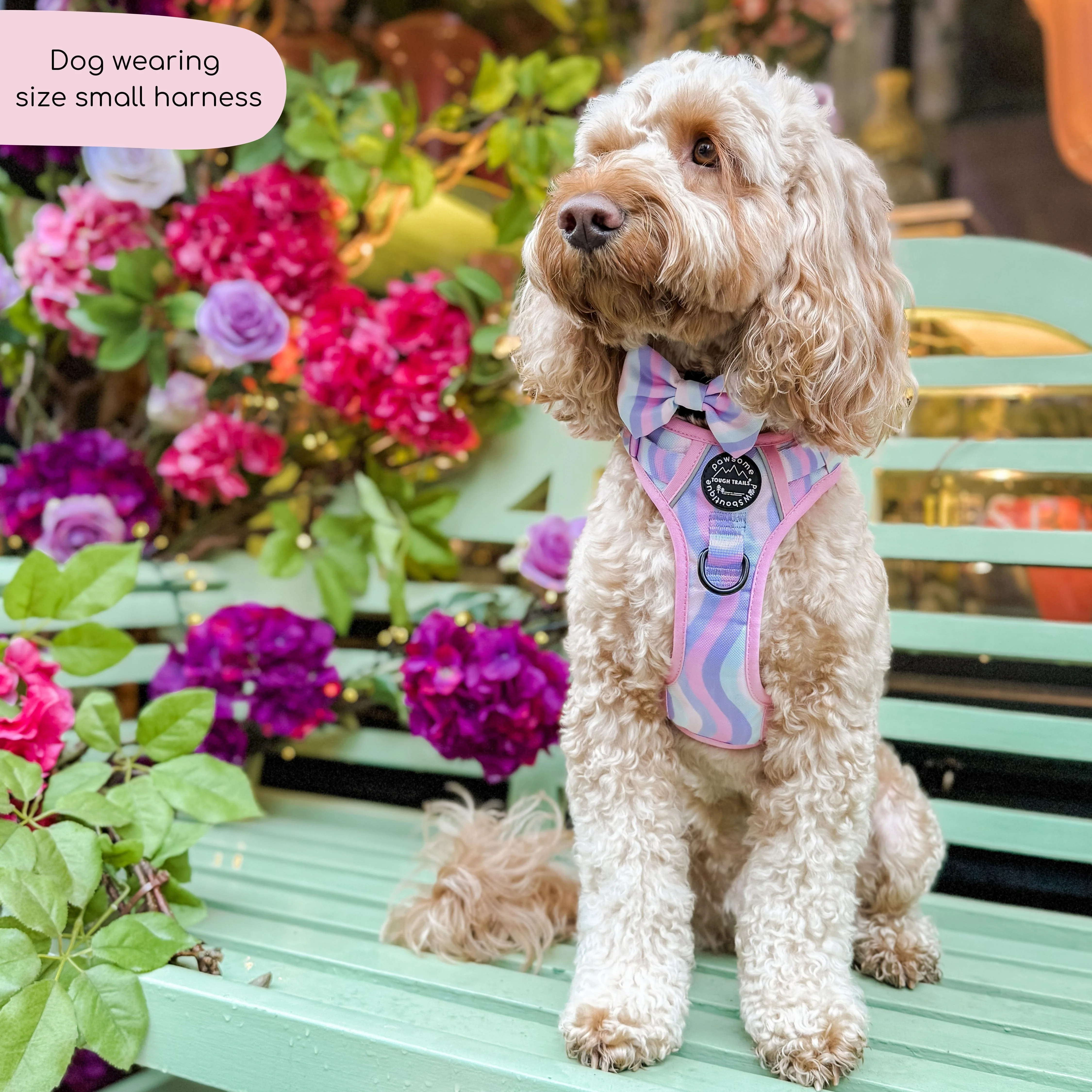 Tough Trails™ Harness - PPB Pastel Swirl - Image 15