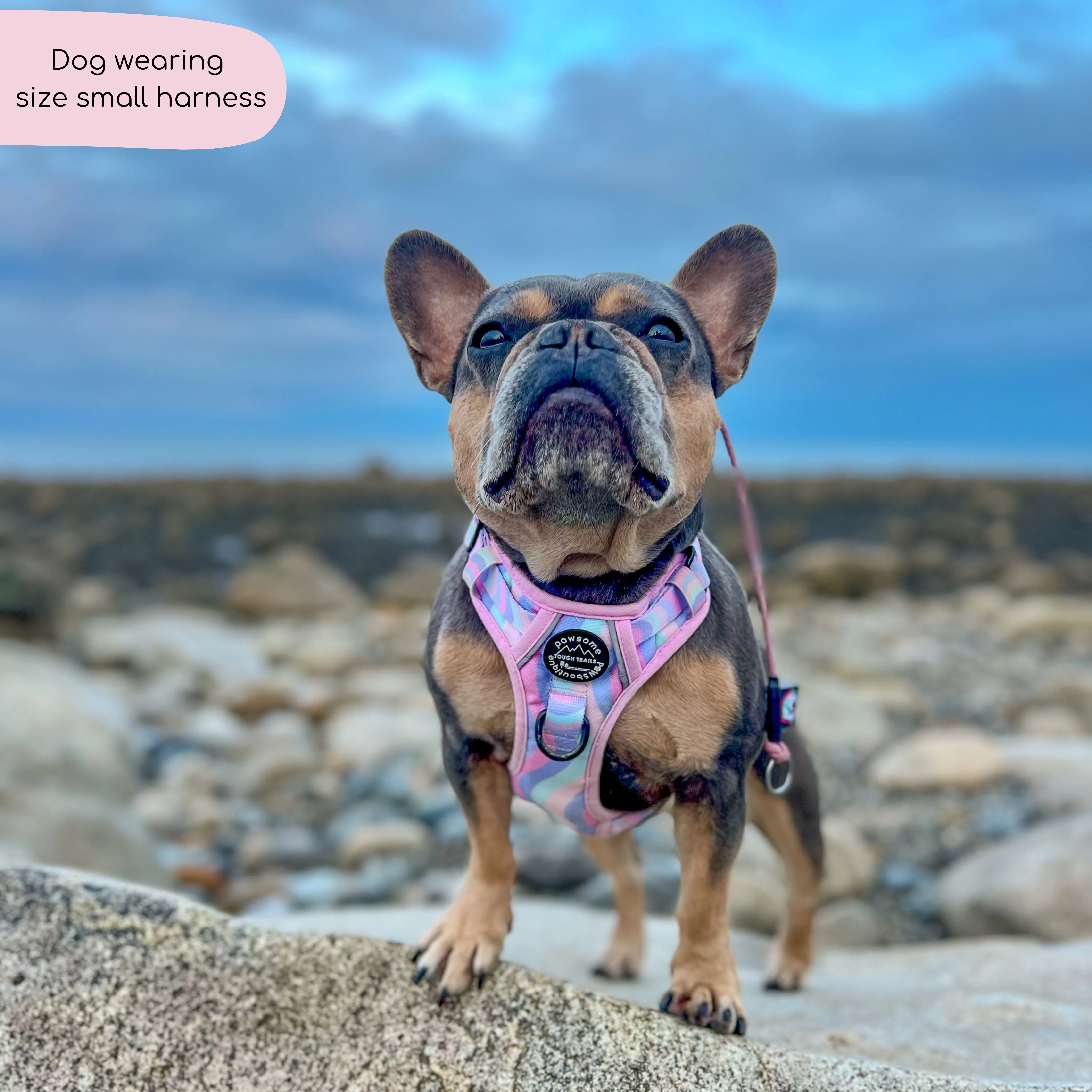 Tough Trails™ Harness - PPB Pastel Swirl - Image 16