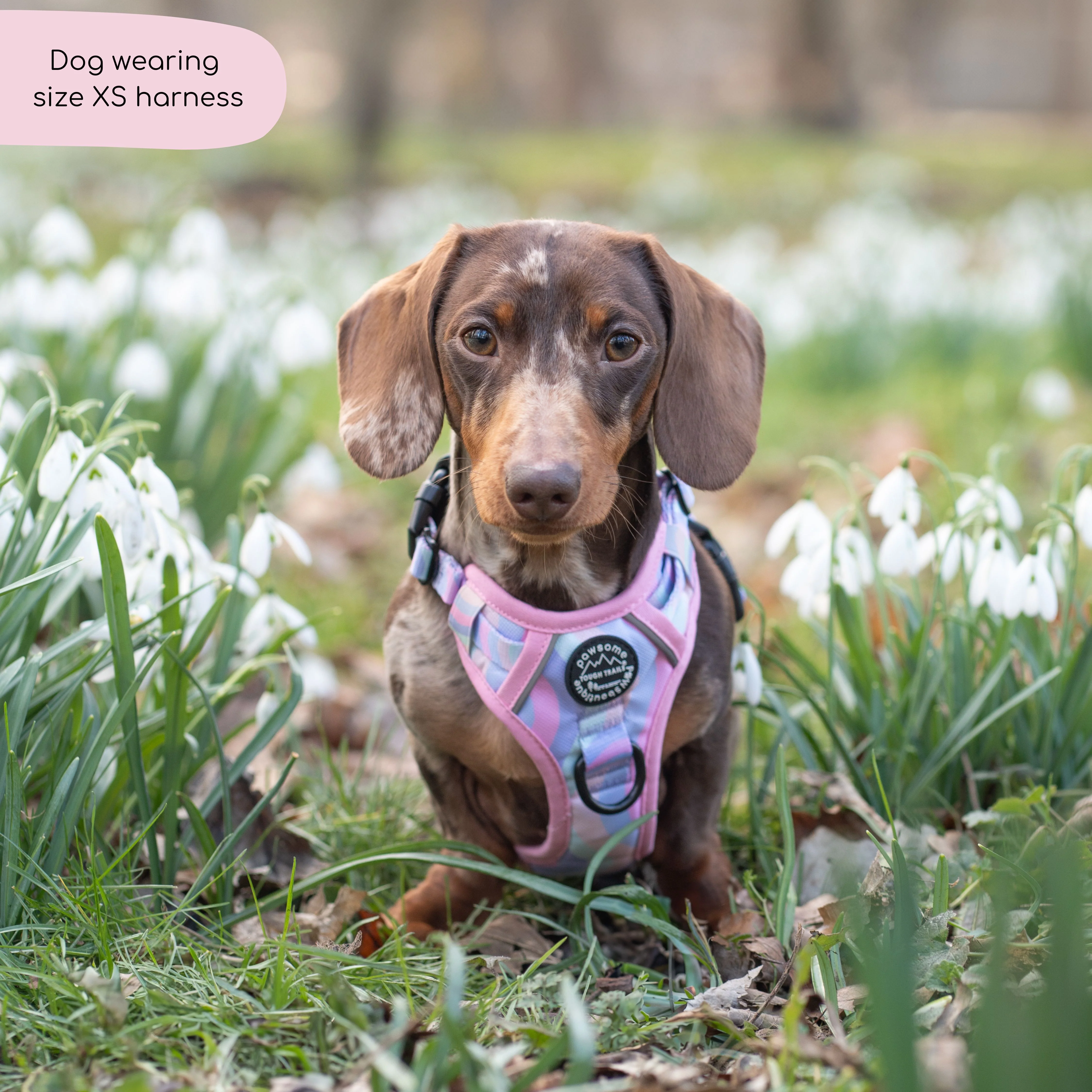 Tough Trails™ Harness - PPB Pastel Swirl - Image 6