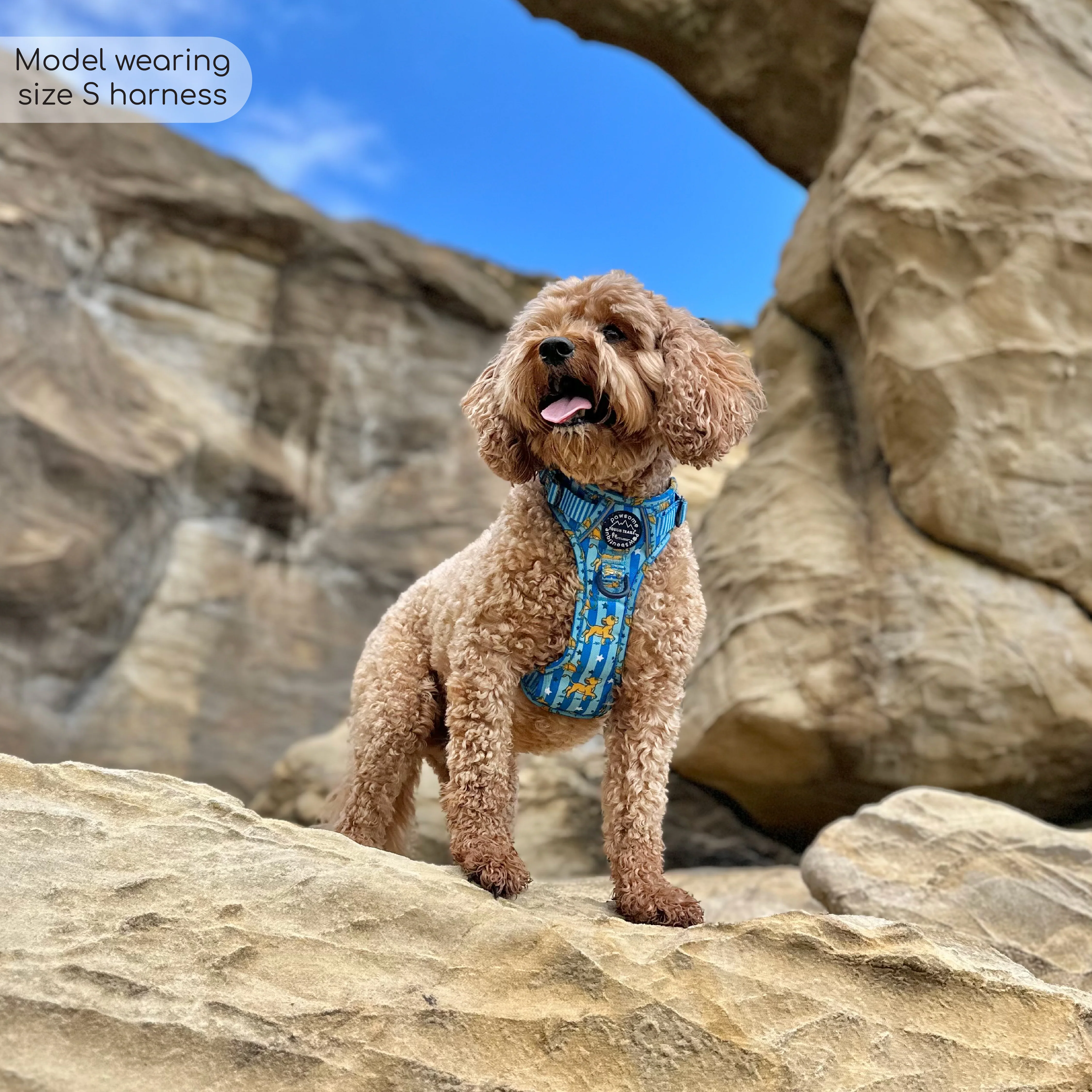 Disney© Tough Trails™ Harness - Simba - Image 19