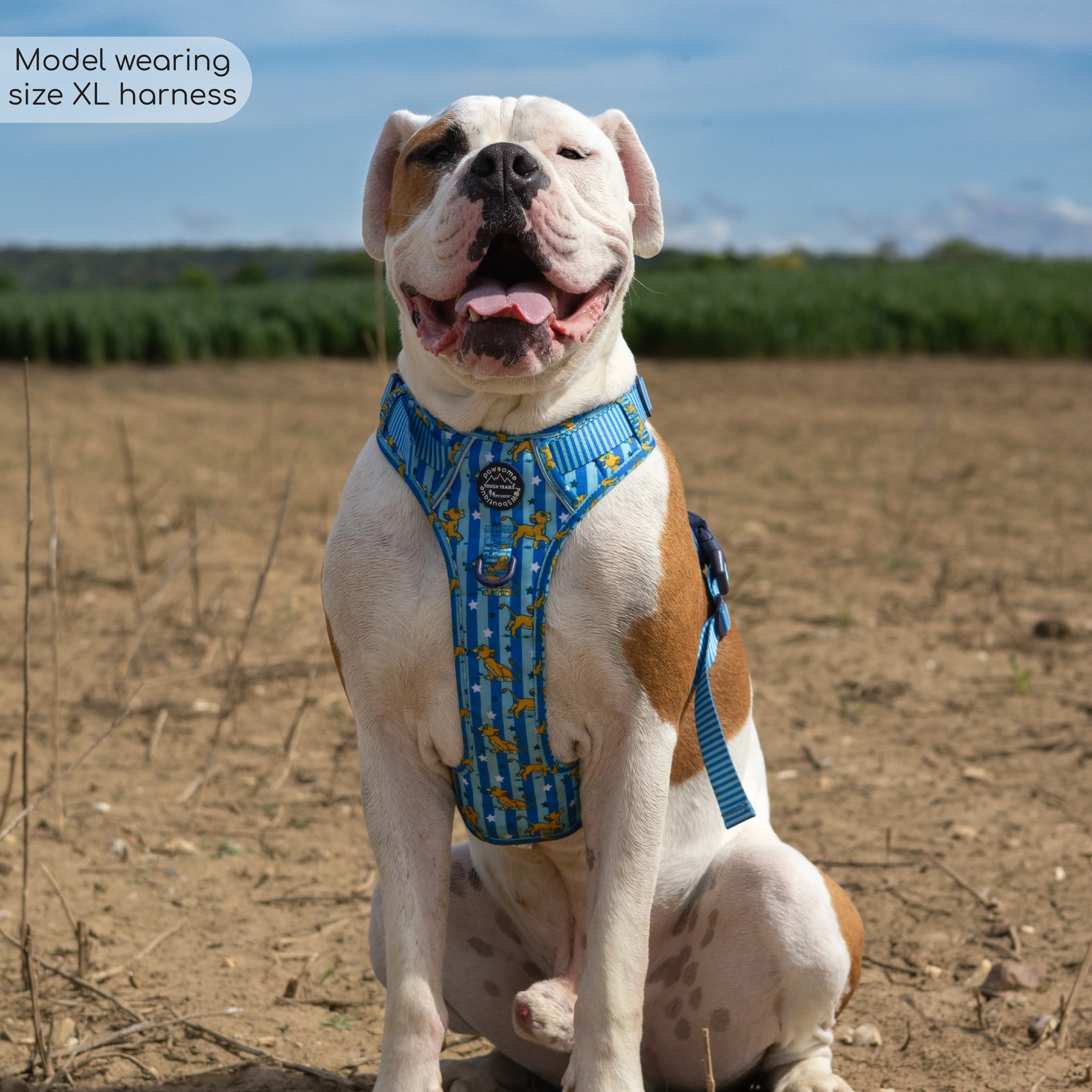 Disney© Tough Trails™ Harness - Simba - Image 6