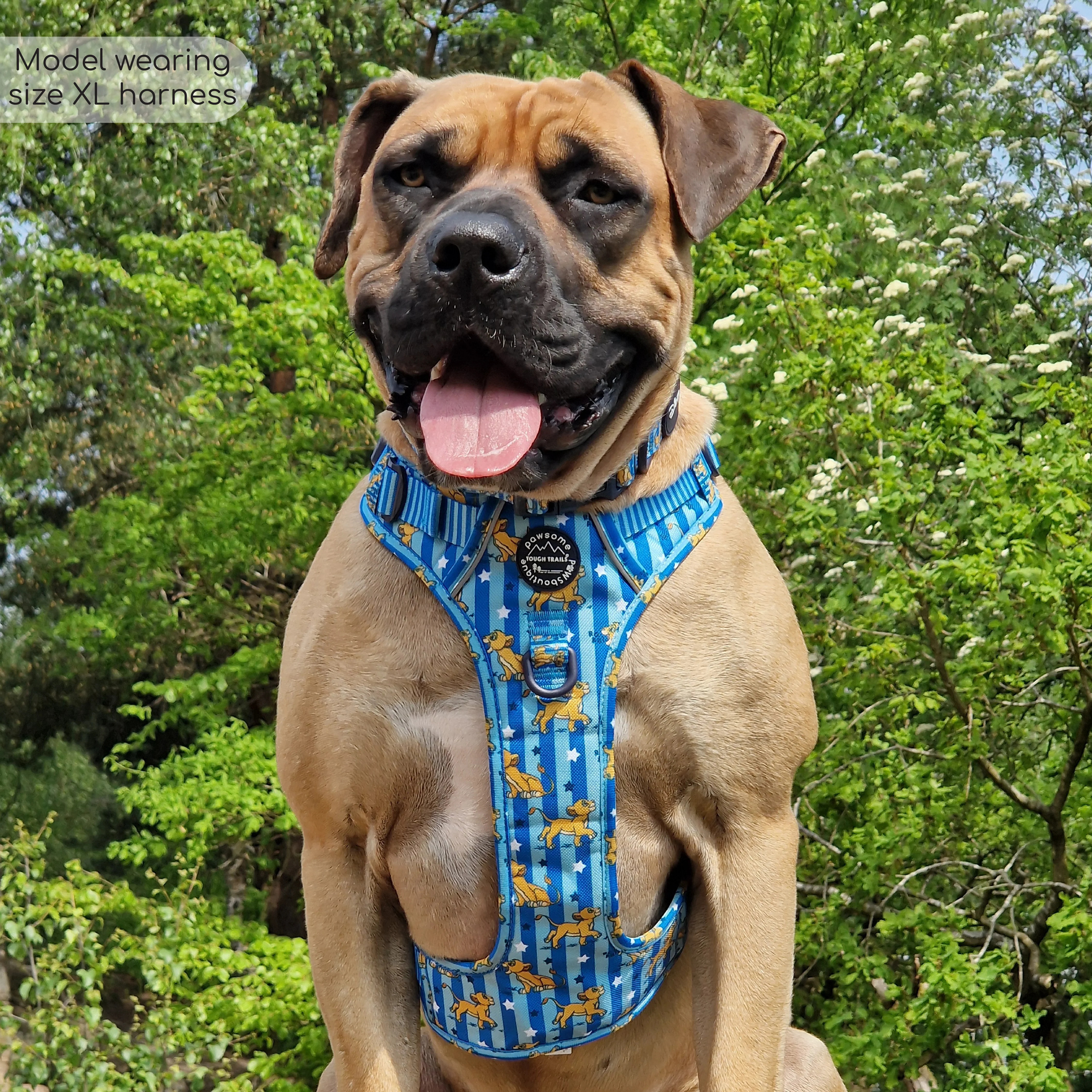 Disney© Tough Trails™ Harness - Simba - Image 8