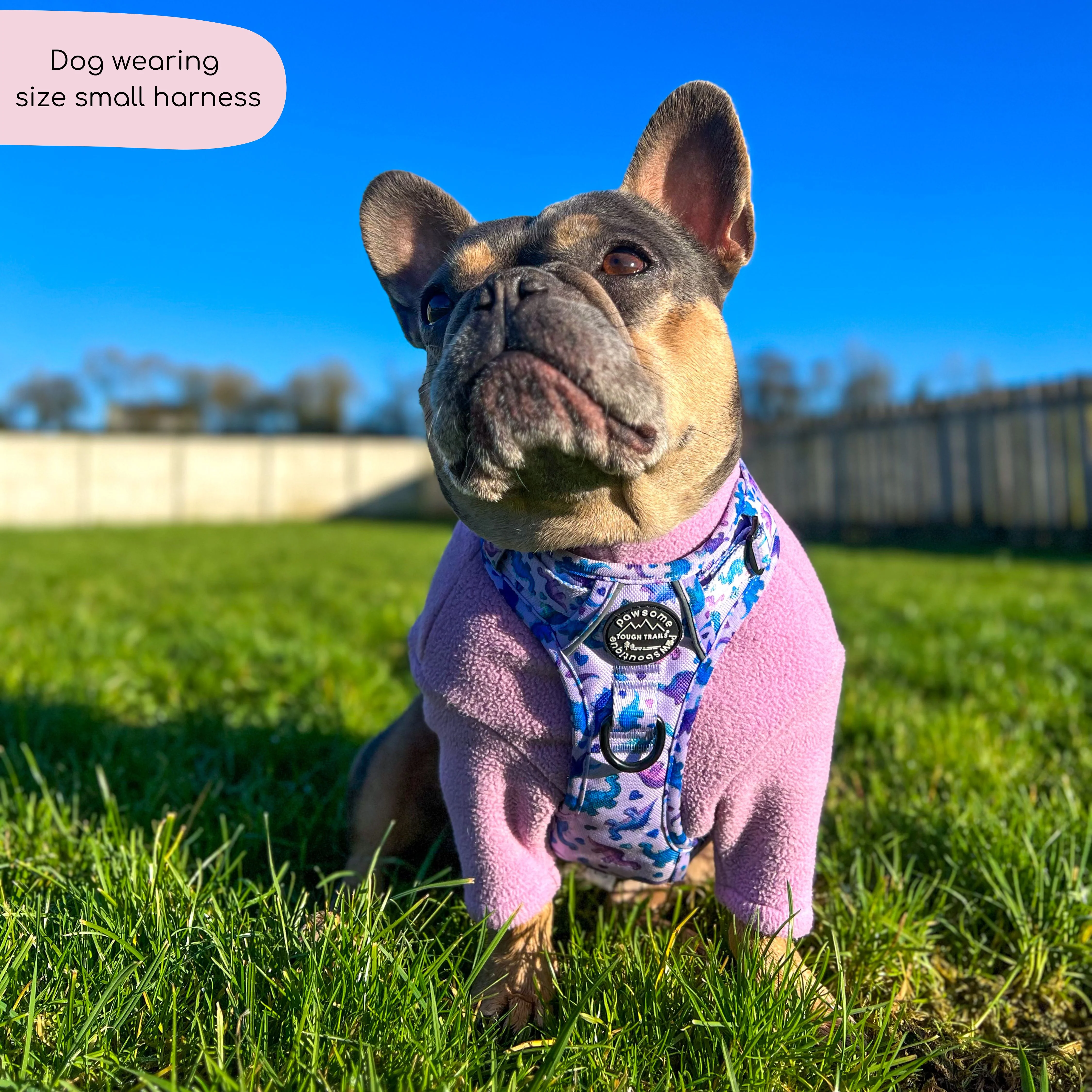 Tough Trails™ Harness - Tiny Diny - Image 12