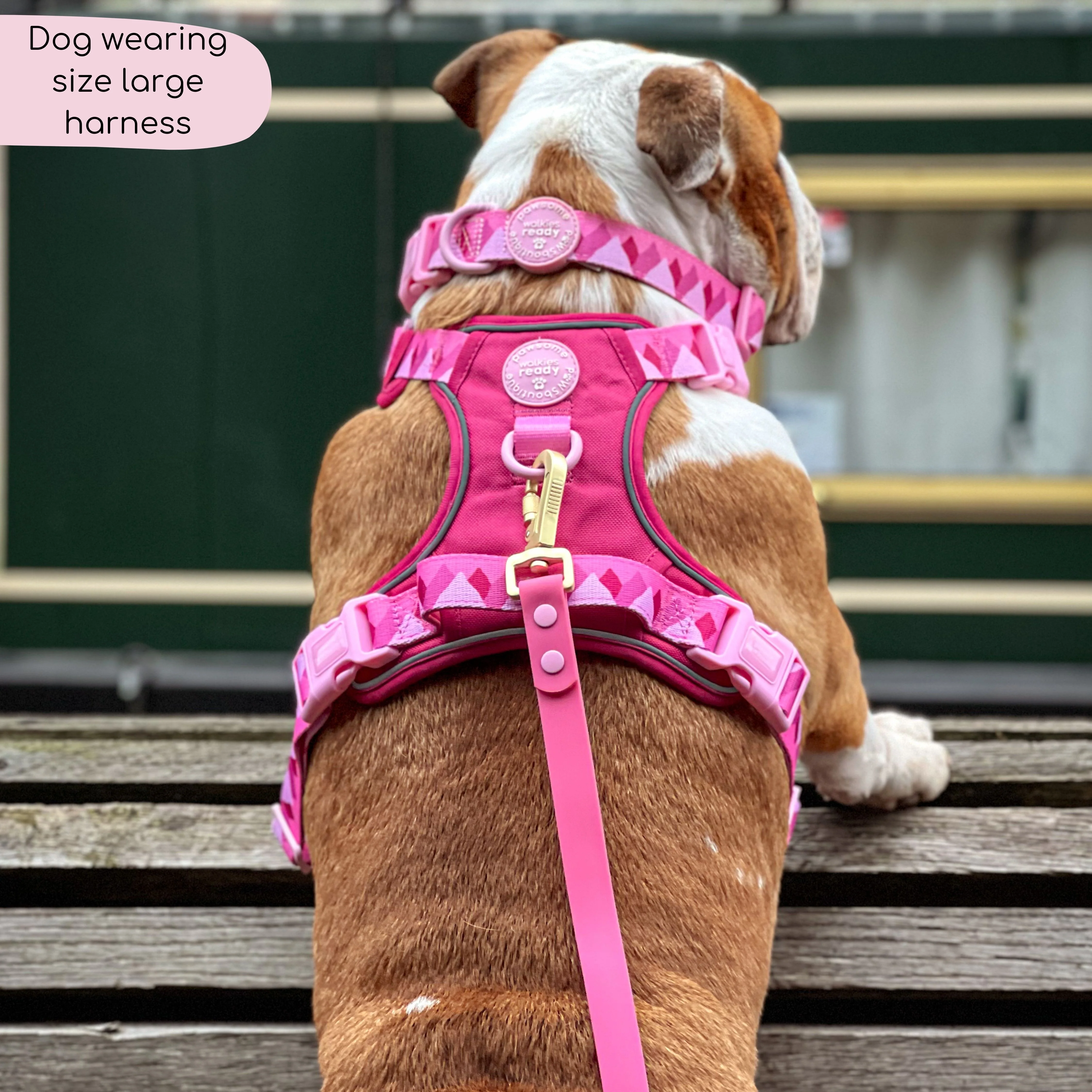 Tough Trails™ Harness - Walkies Ready® Raspberry Pink - Image 10