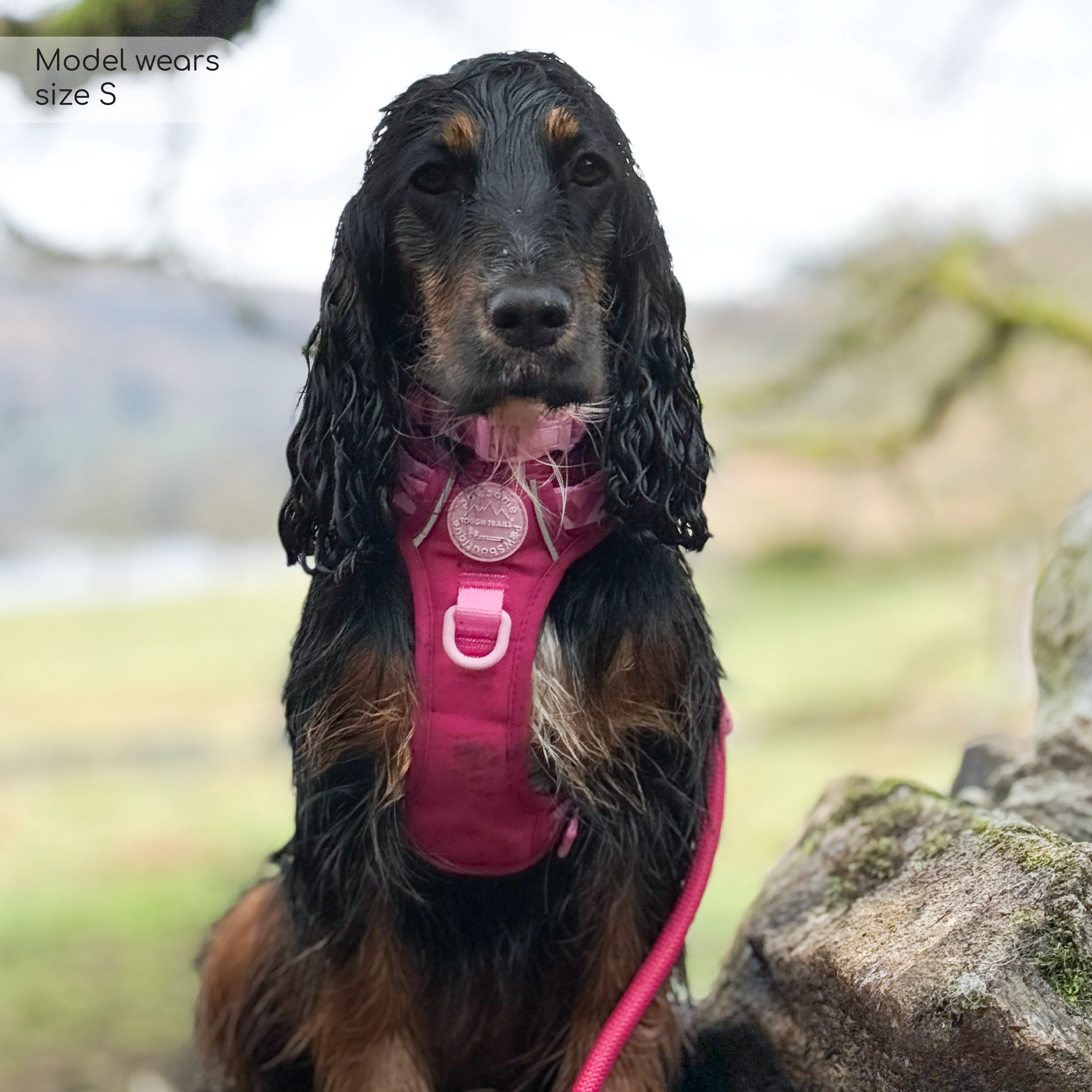Tough Trails™ Harness - Walkies Ready® Raspberry Pink - Image 11