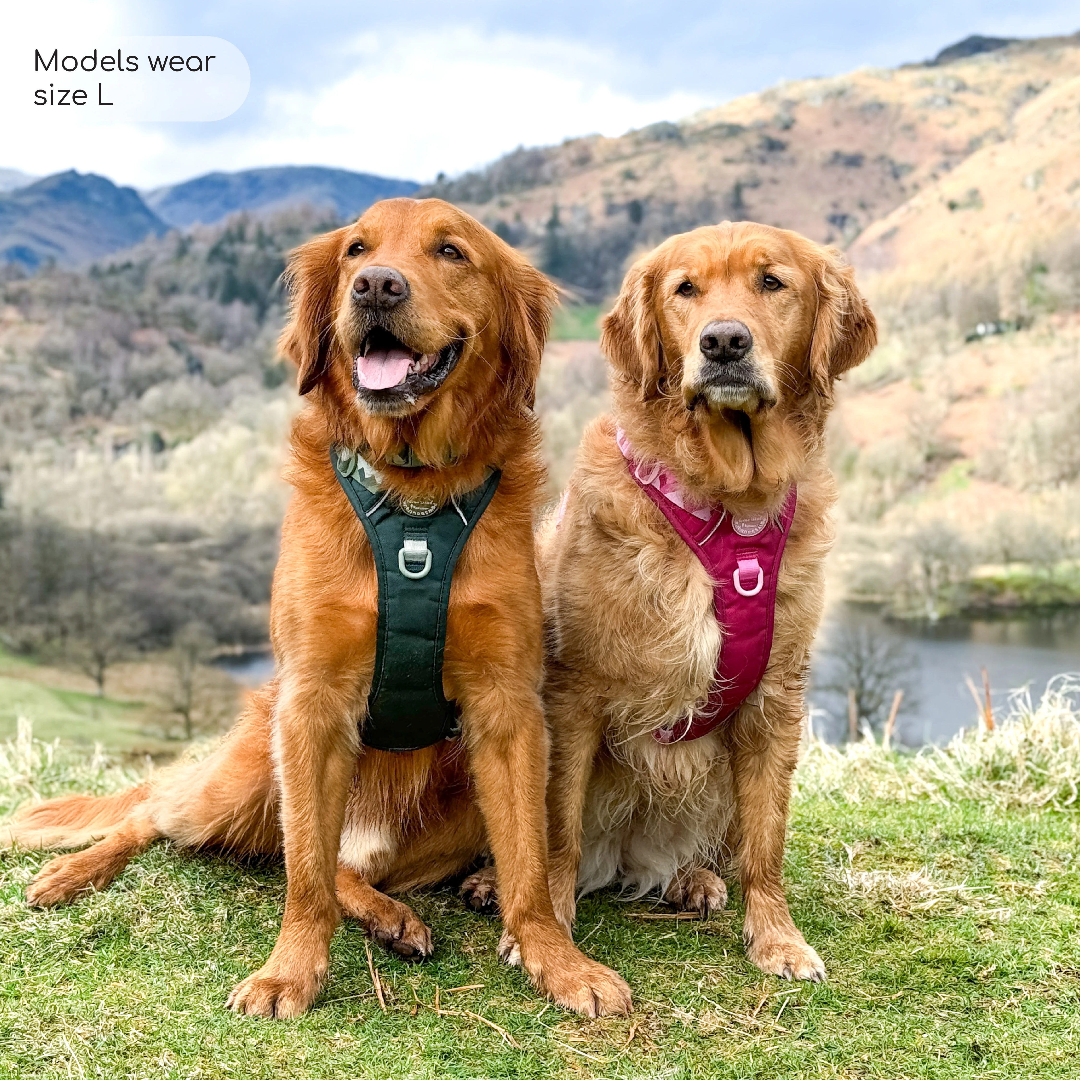Tough Trails™ Harness - Walkies Ready® Raspberry Pink - Image 12