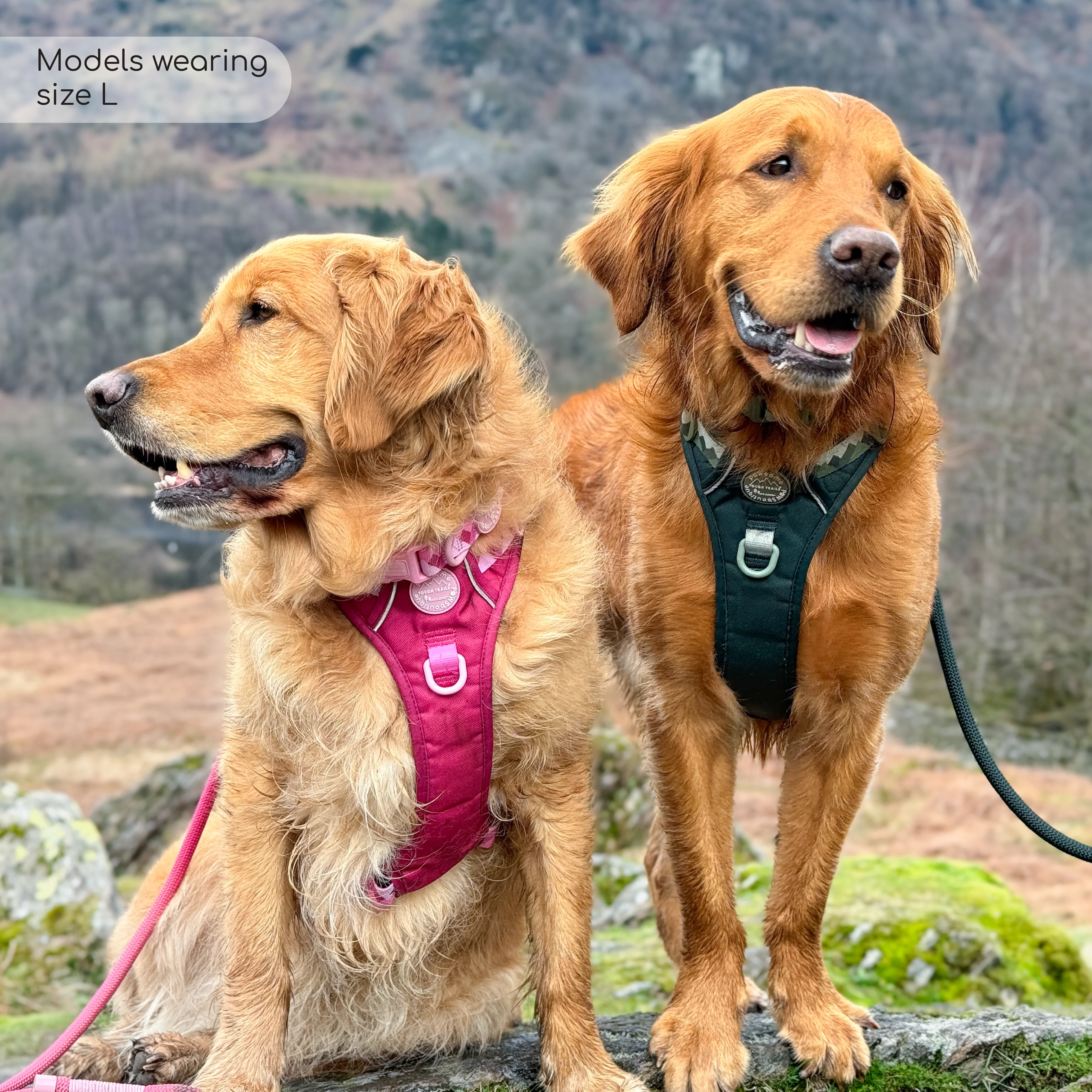 Tough Trails™ Harness - Walkies Ready® Raspberry Pink - Image 14