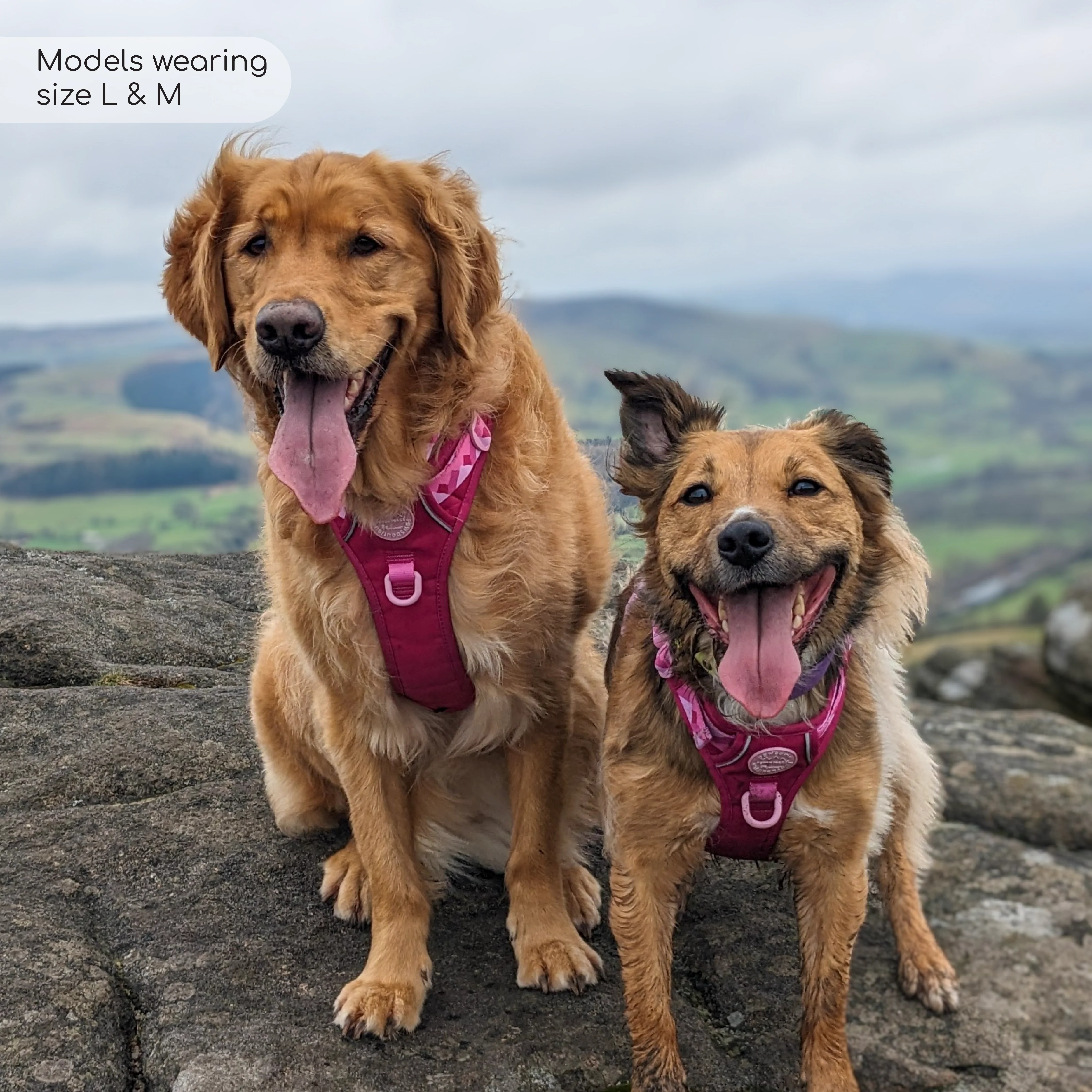 Tough Trails™ Harness - Walkies Ready® Raspberry Pink - Image 20