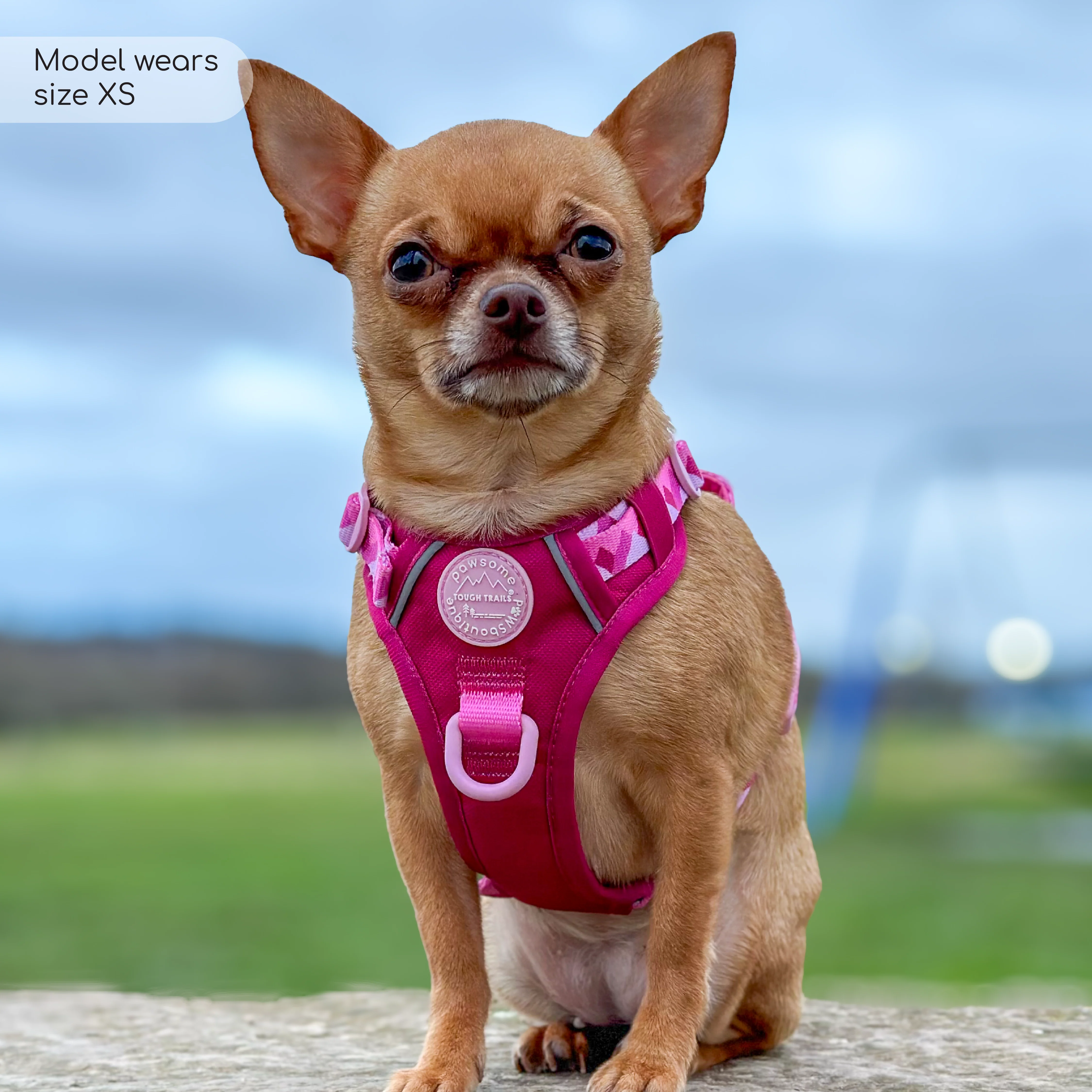 Tough Trails™ Harness - Walkies Ready® Raspberry Pink - Image 21