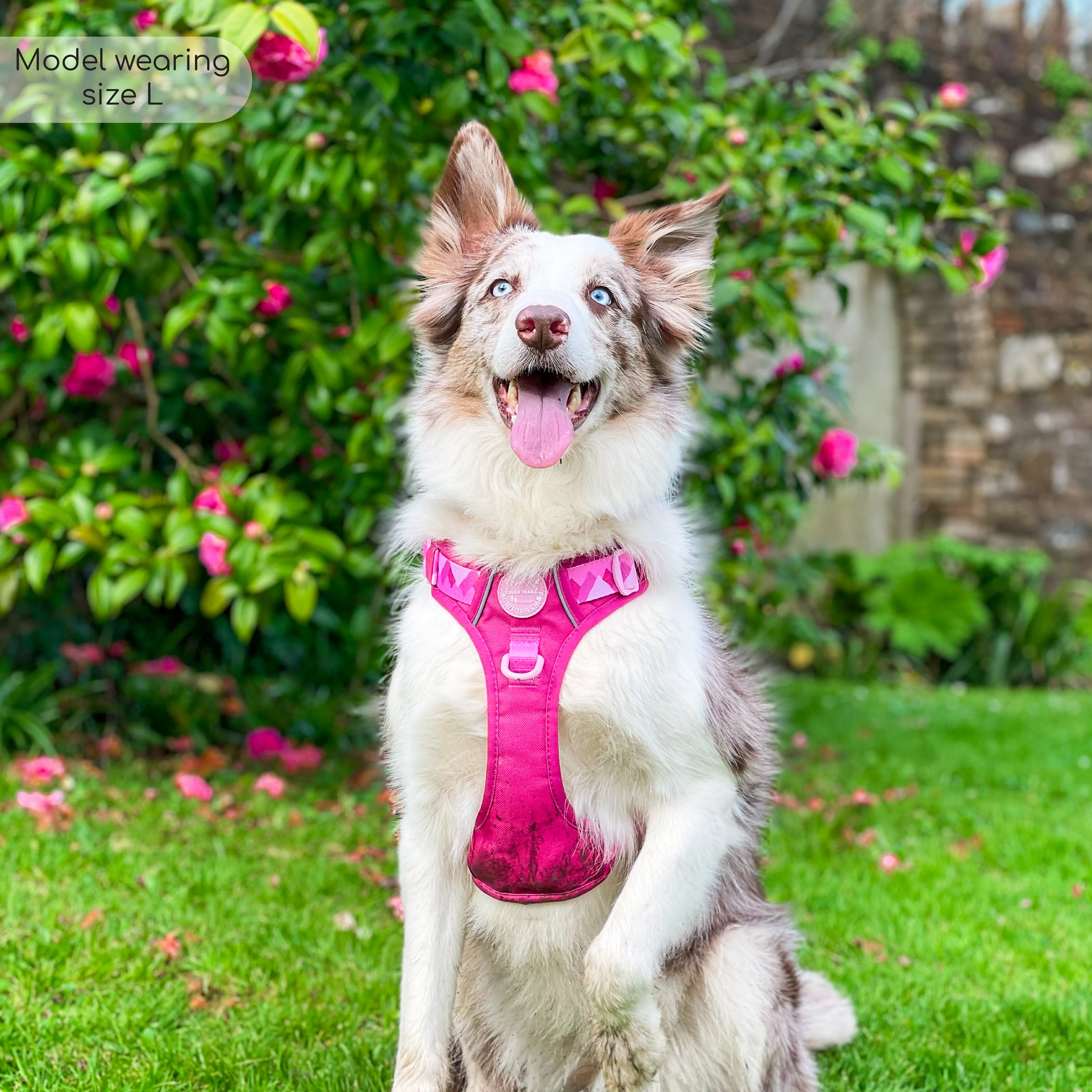 Tough Trails™ Harness - Walkies Ready® Raspberry Pink - Image 25