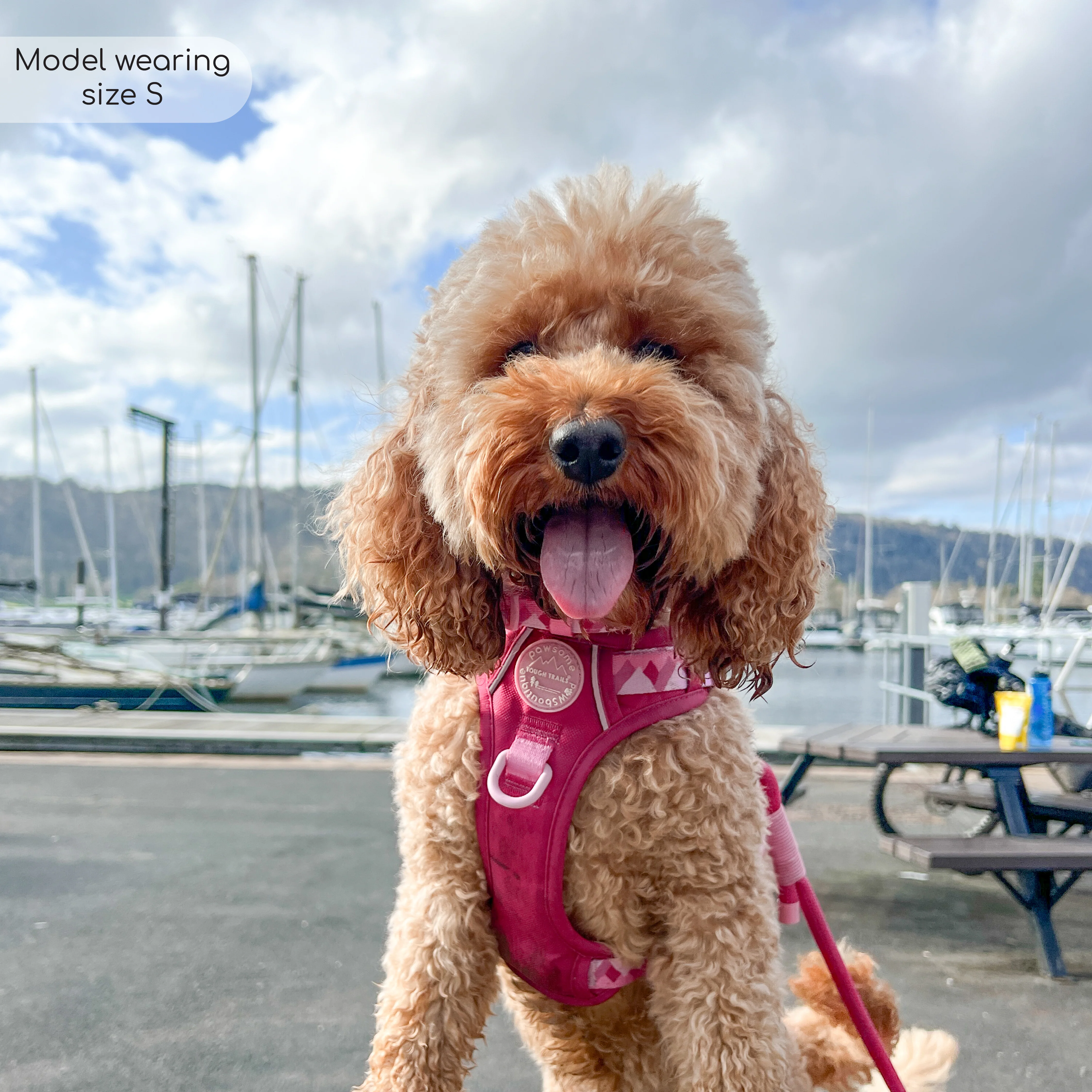 Tough Trails™ Harness - Walkies Ready® Raspberry Pink - Image 26