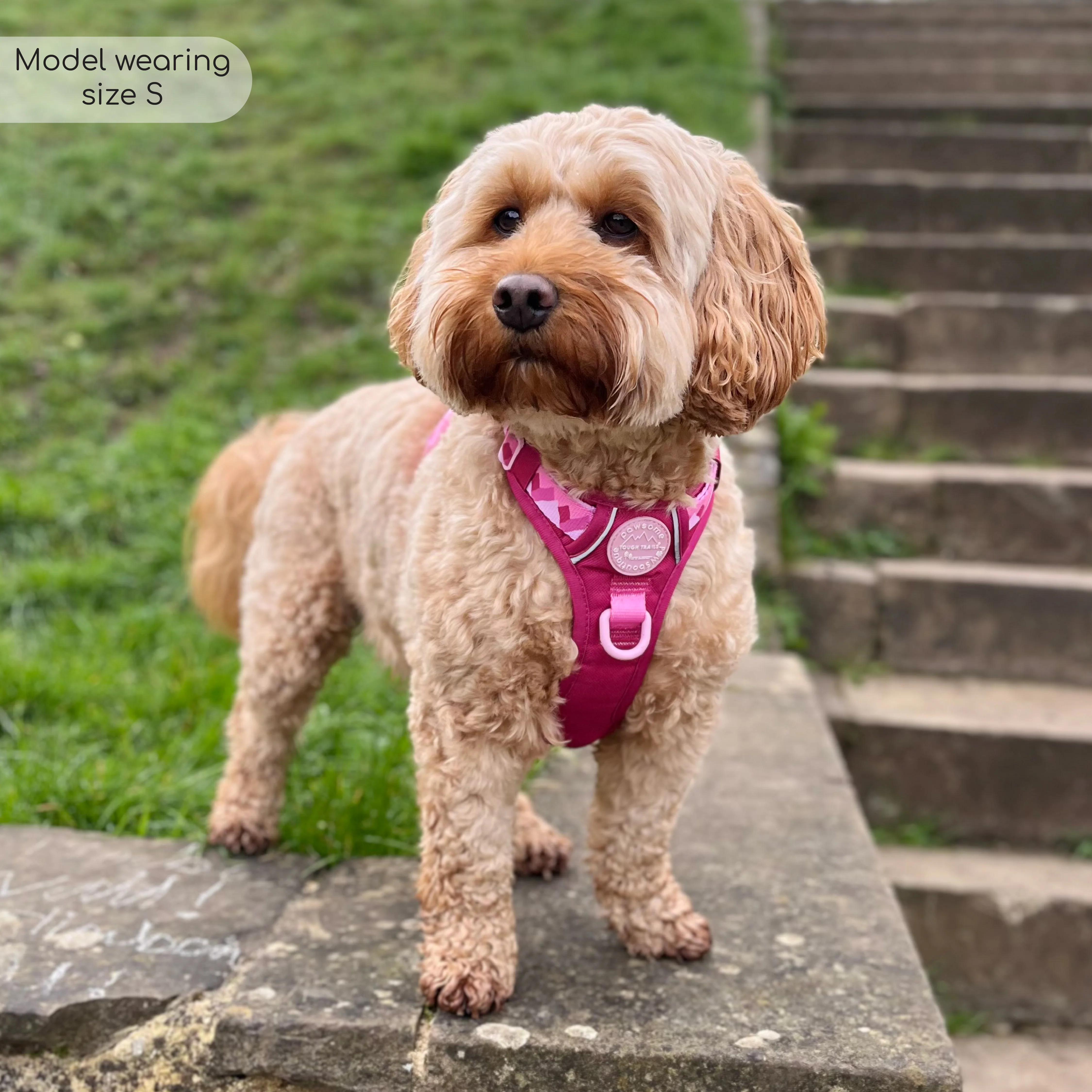 Tough Trails™ Harness - Walkies Ready® Raspberry Pink - Image 27