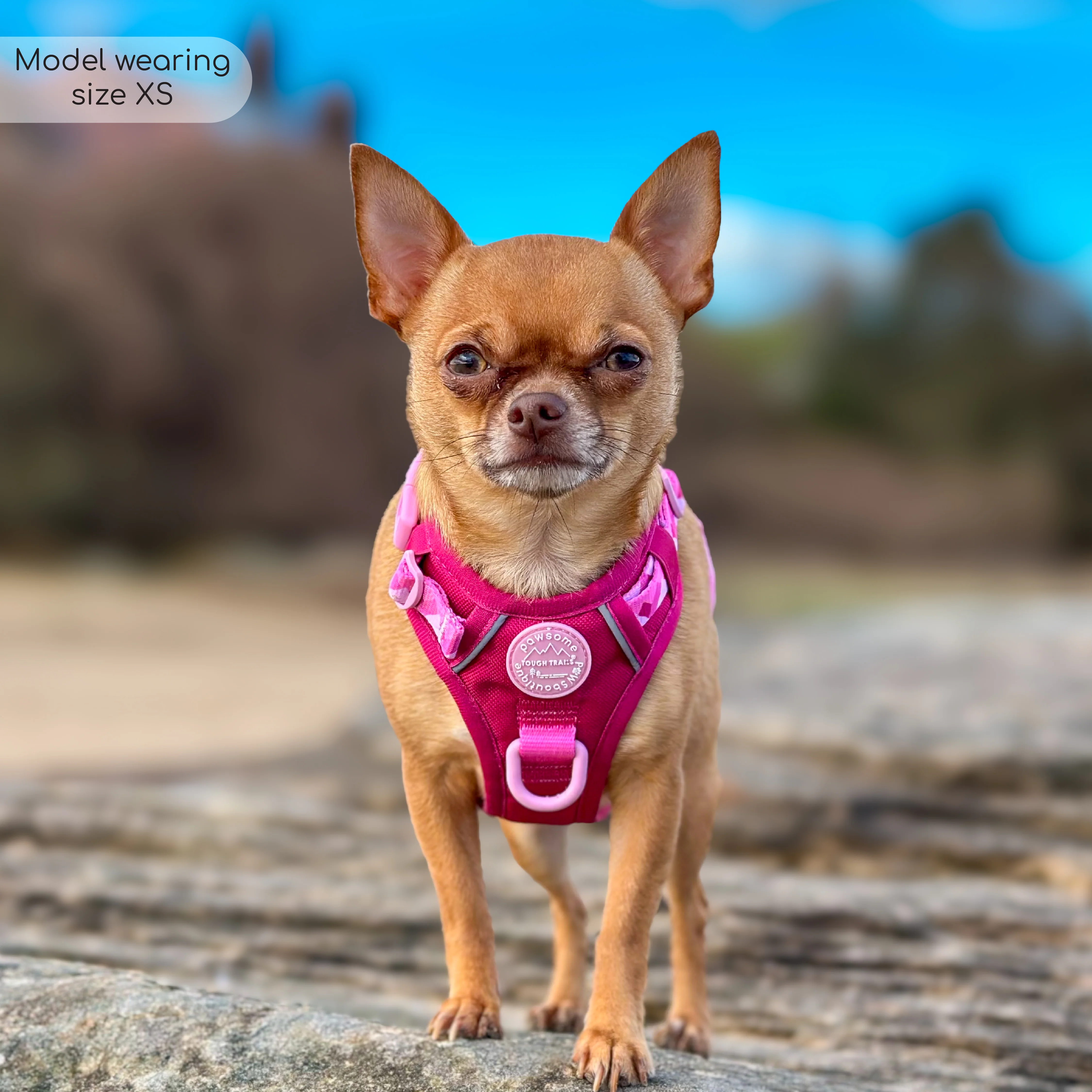 Tough Trails™ Harness - Walkies Ready® Raspberry Pink - Image 28