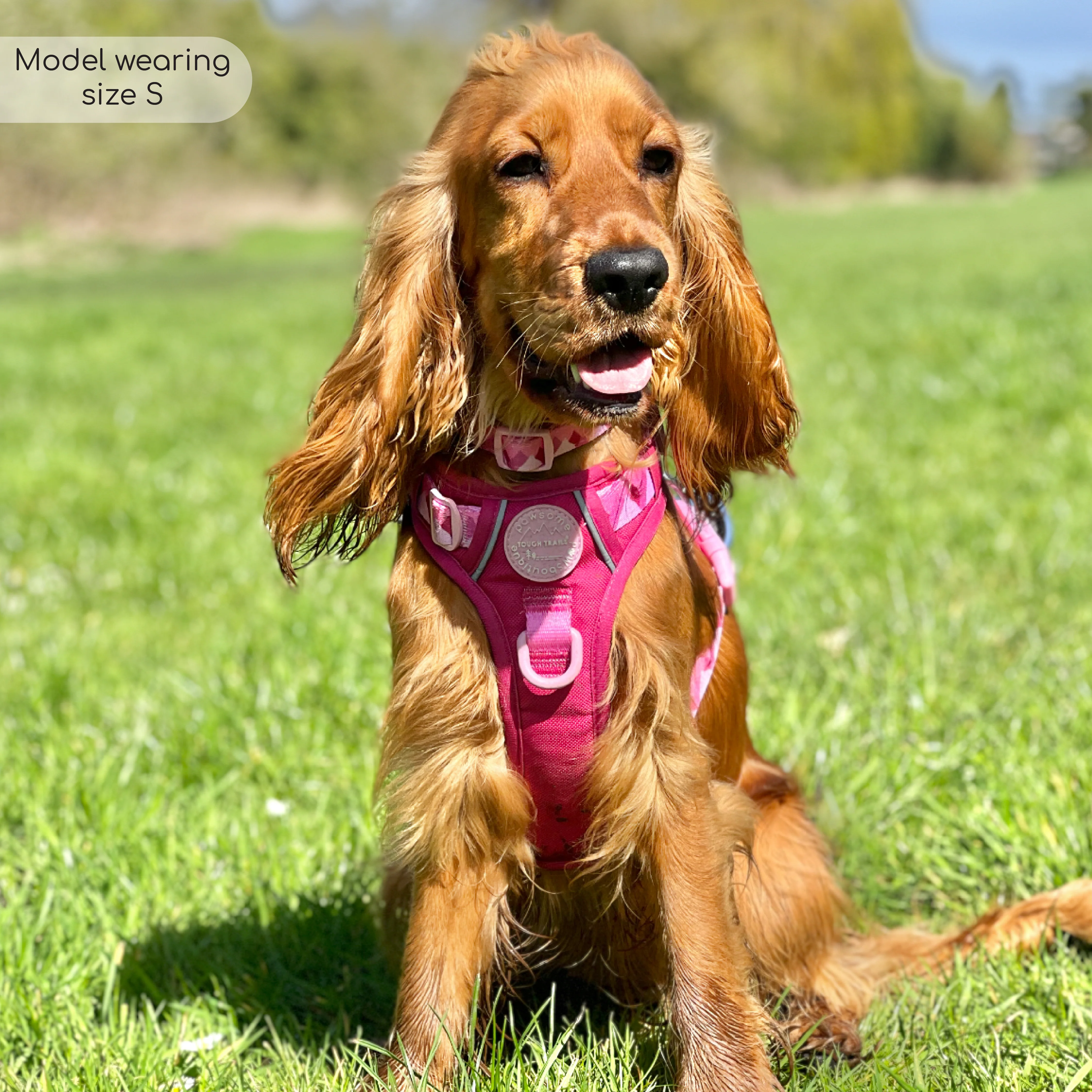 Tough Trails™ Harness - Walkies Ready® Raspberry Pink - Image 29