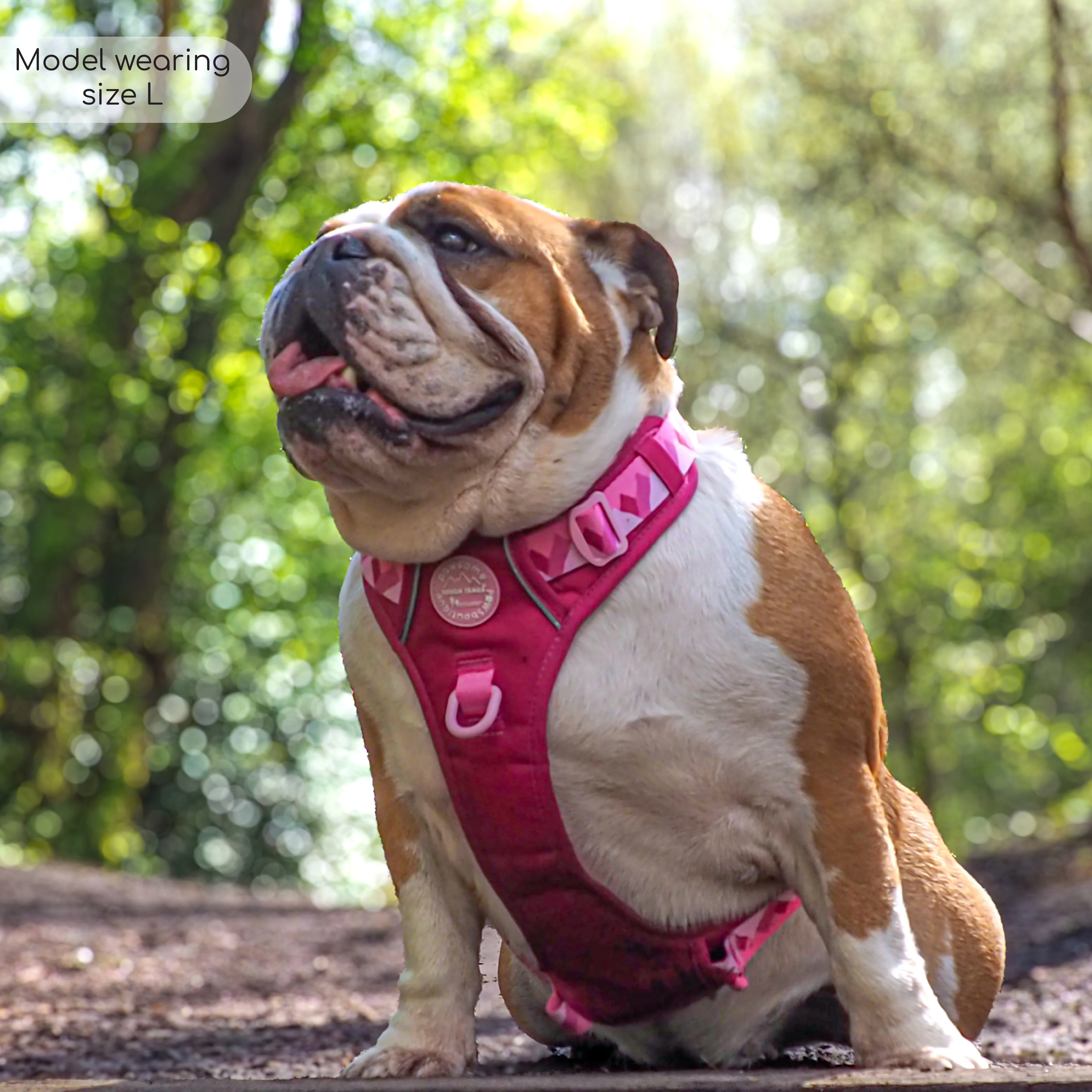 Tough Trails™ Harness - Walkies Ready® Raspberry Pink - Image 30