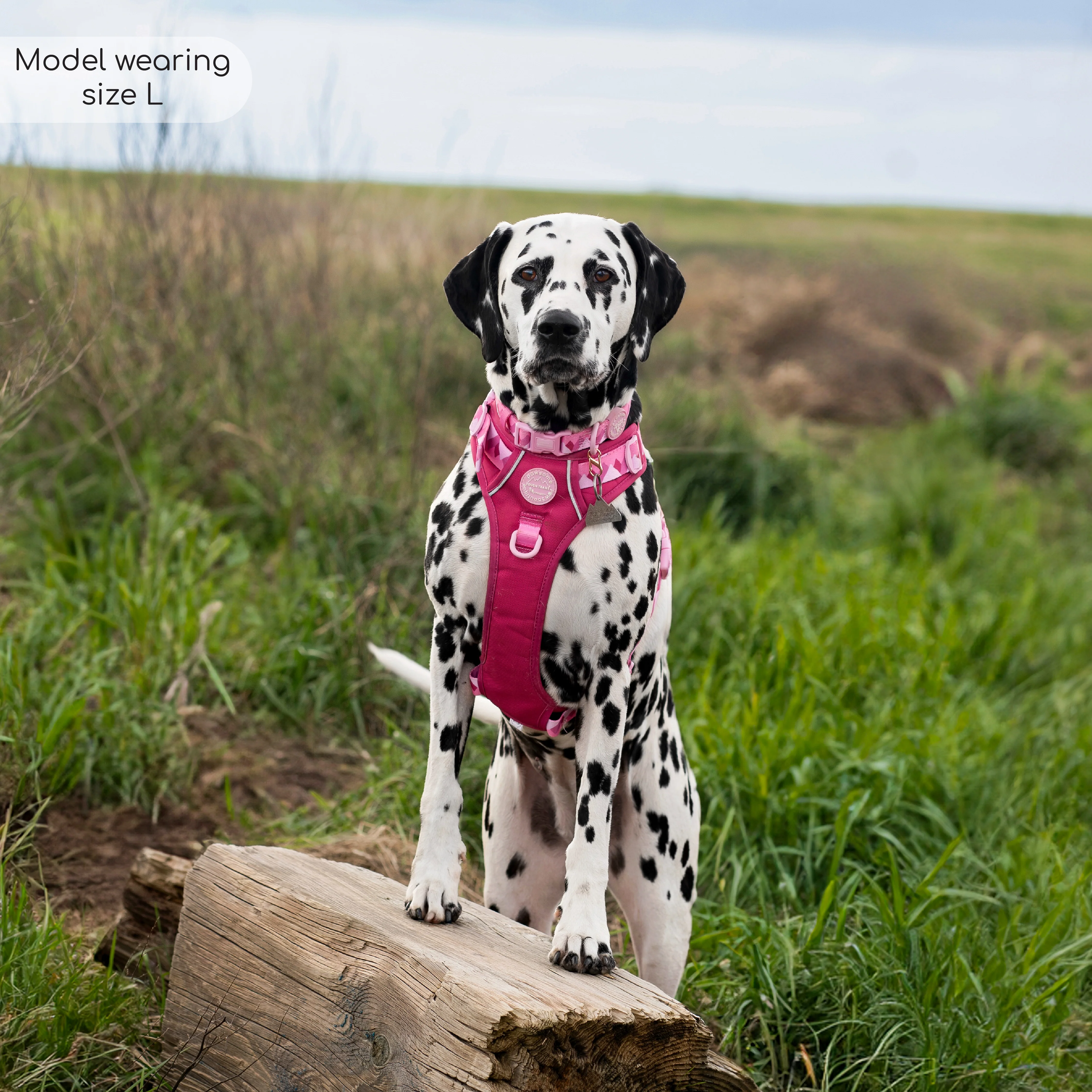 Tough Trails™ Harness - Walkies Ready® Raspberry Pink - Image 31