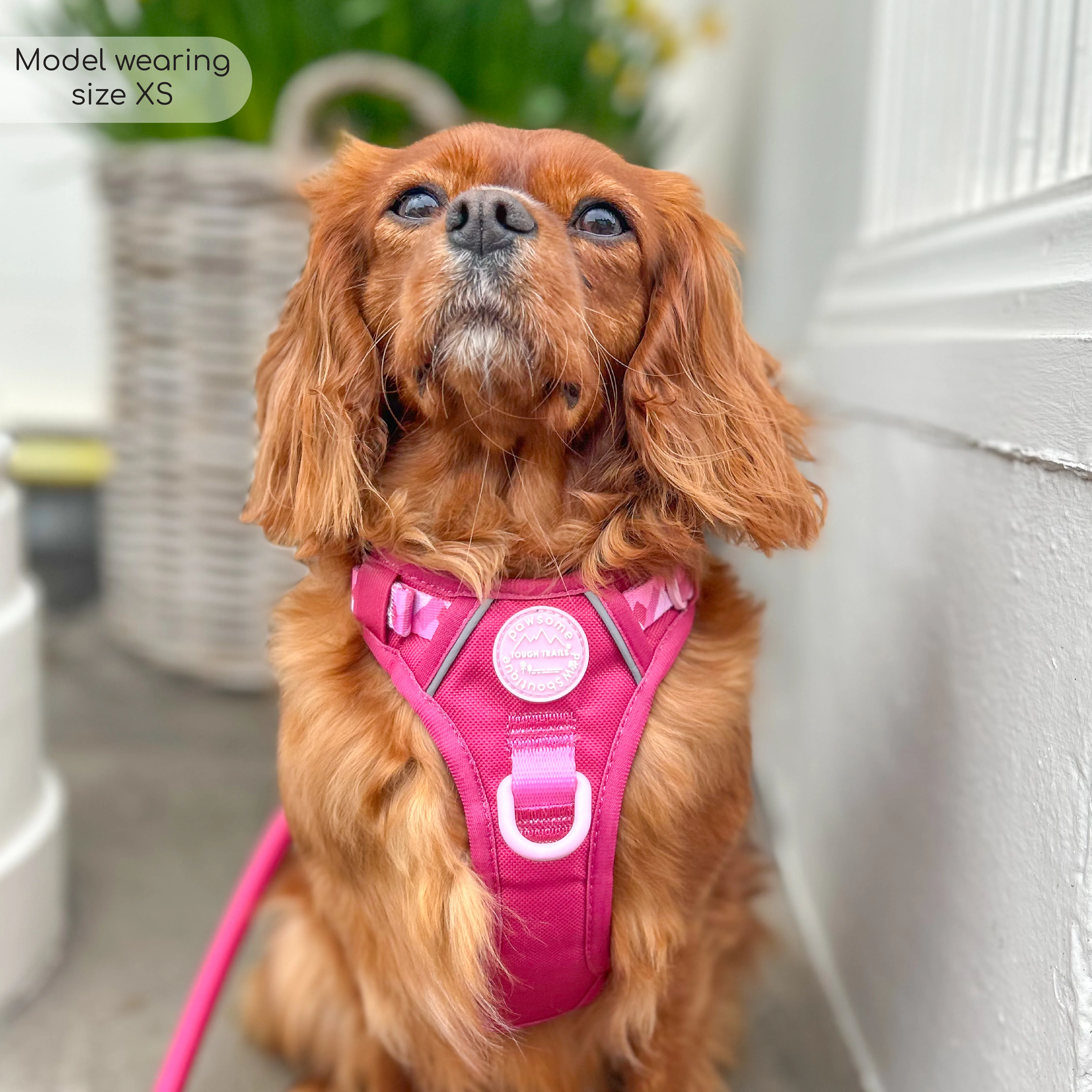 Tough Trails™ Harness - Walkies Ready® Raspberry Pink - Image 32