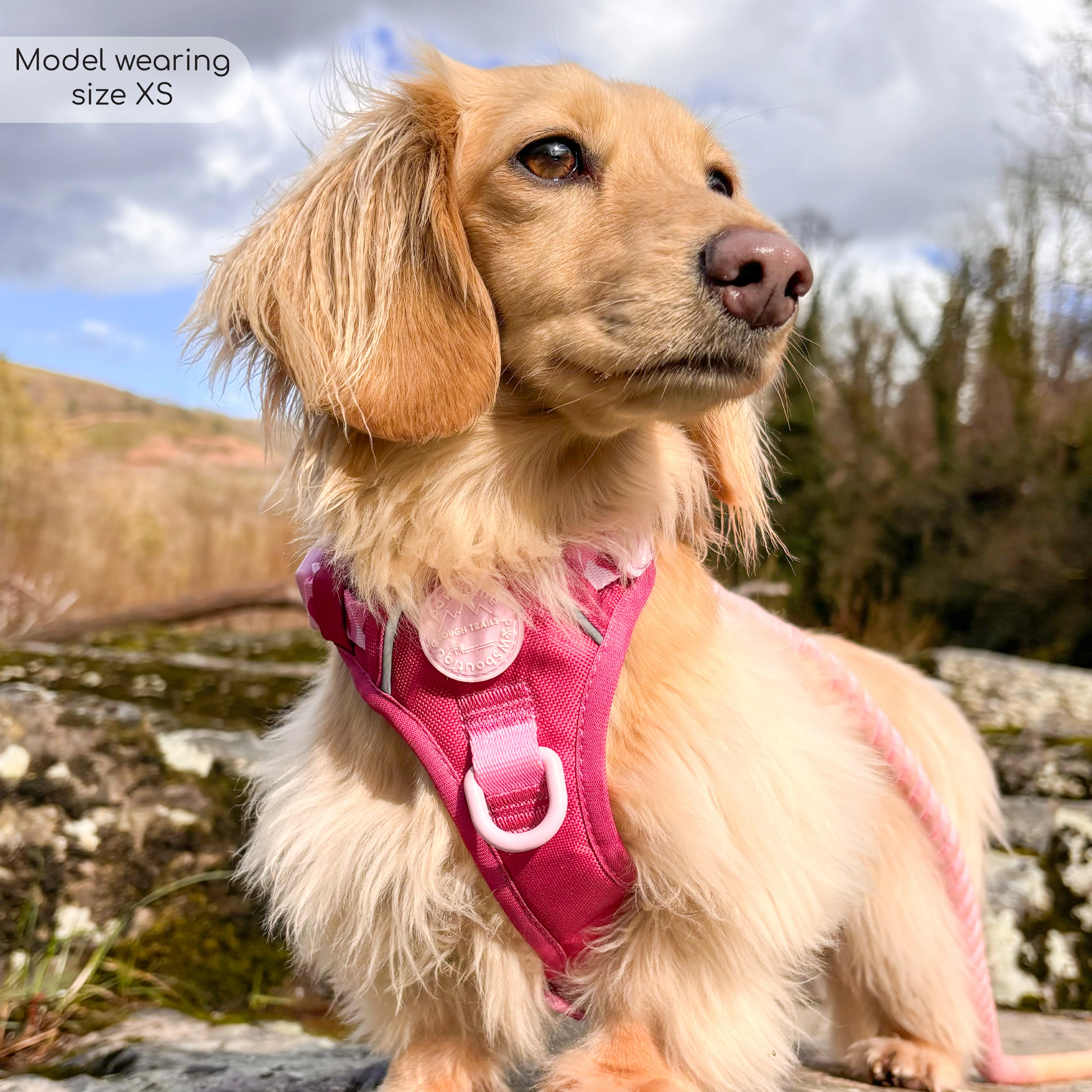 Tough Trails™ Harness - Walkies Ready® Raspberry Pink - Image 34