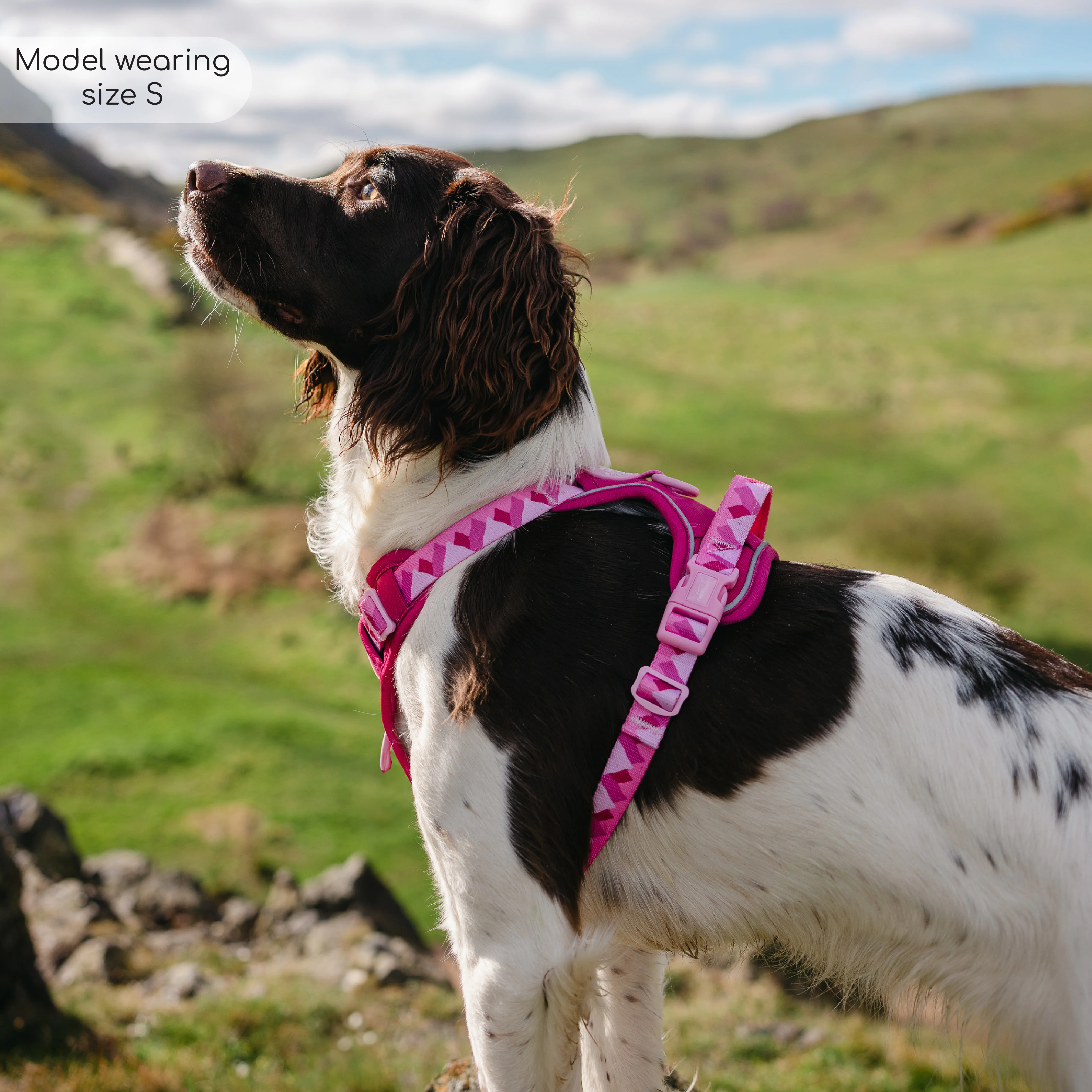 Tough Trails™ Harness - Walkies Ready® Raspberry Pink - Image 35