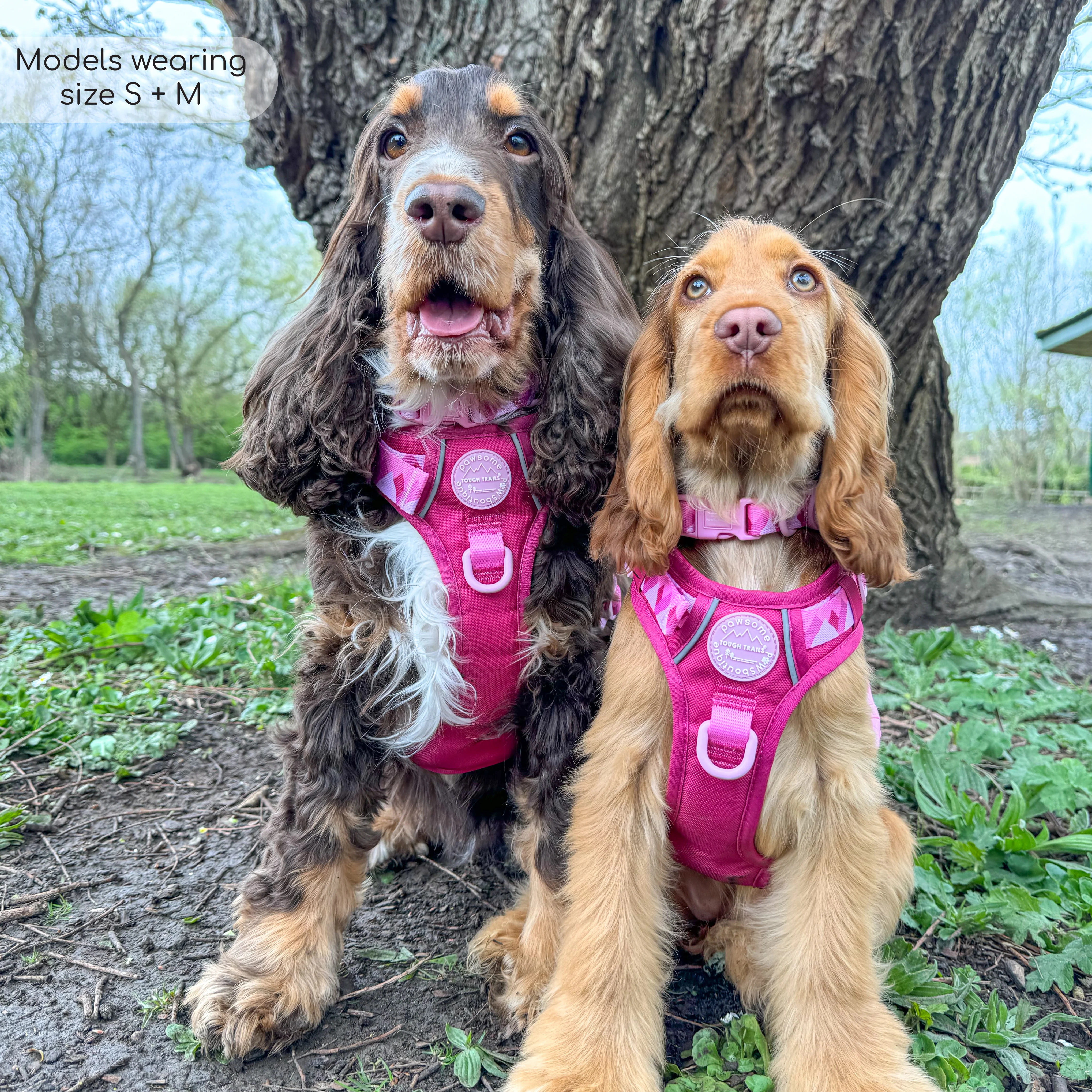 Tough Trails™ Harness - Walkies Ready® Raspberry Pink - Image 38