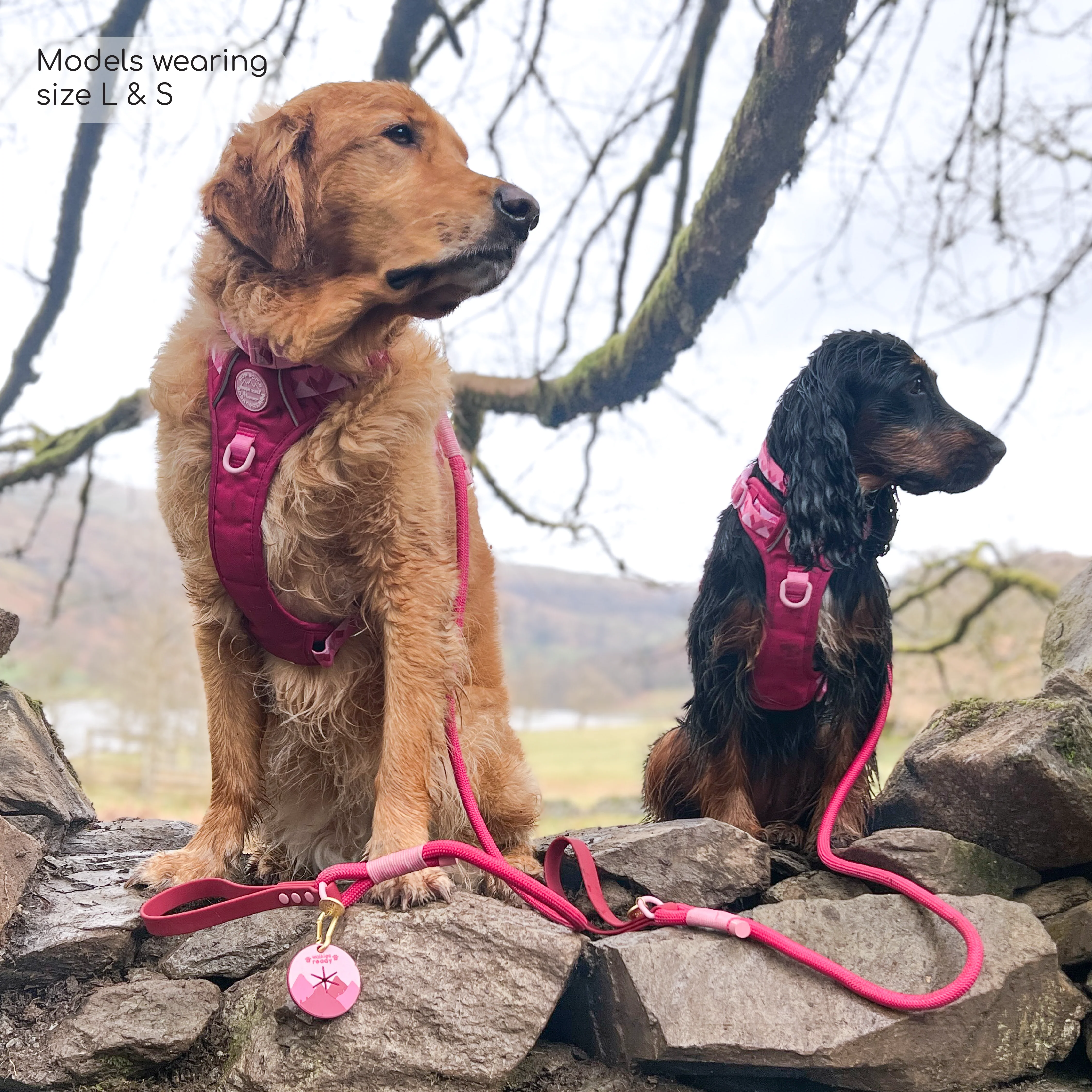 Tough Trails™ Harness - Walkies Ready® Raspberry Pink - Image 8
