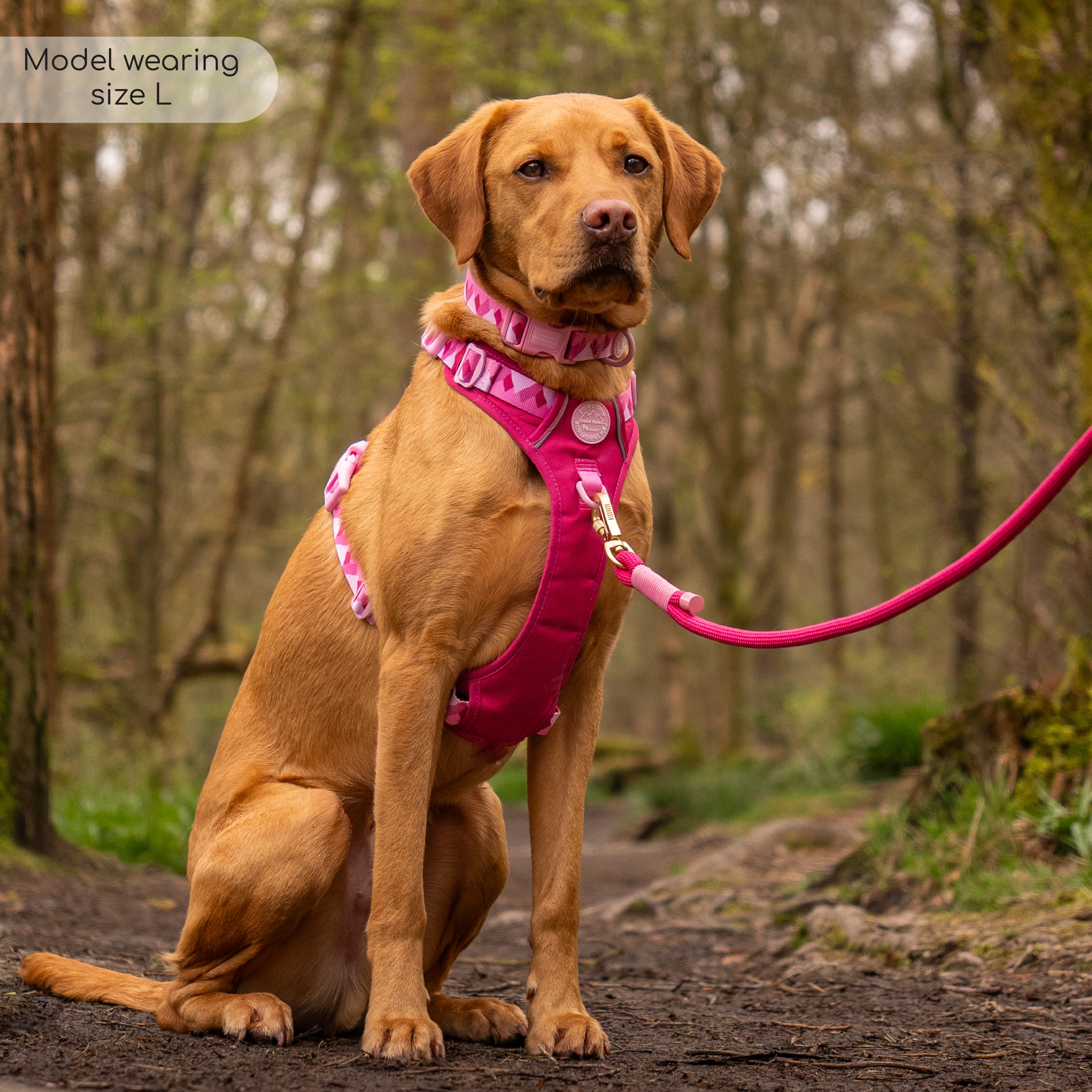 Tough Trails™ Harness - Walkies Ready® Raspberry Pink - Image 9