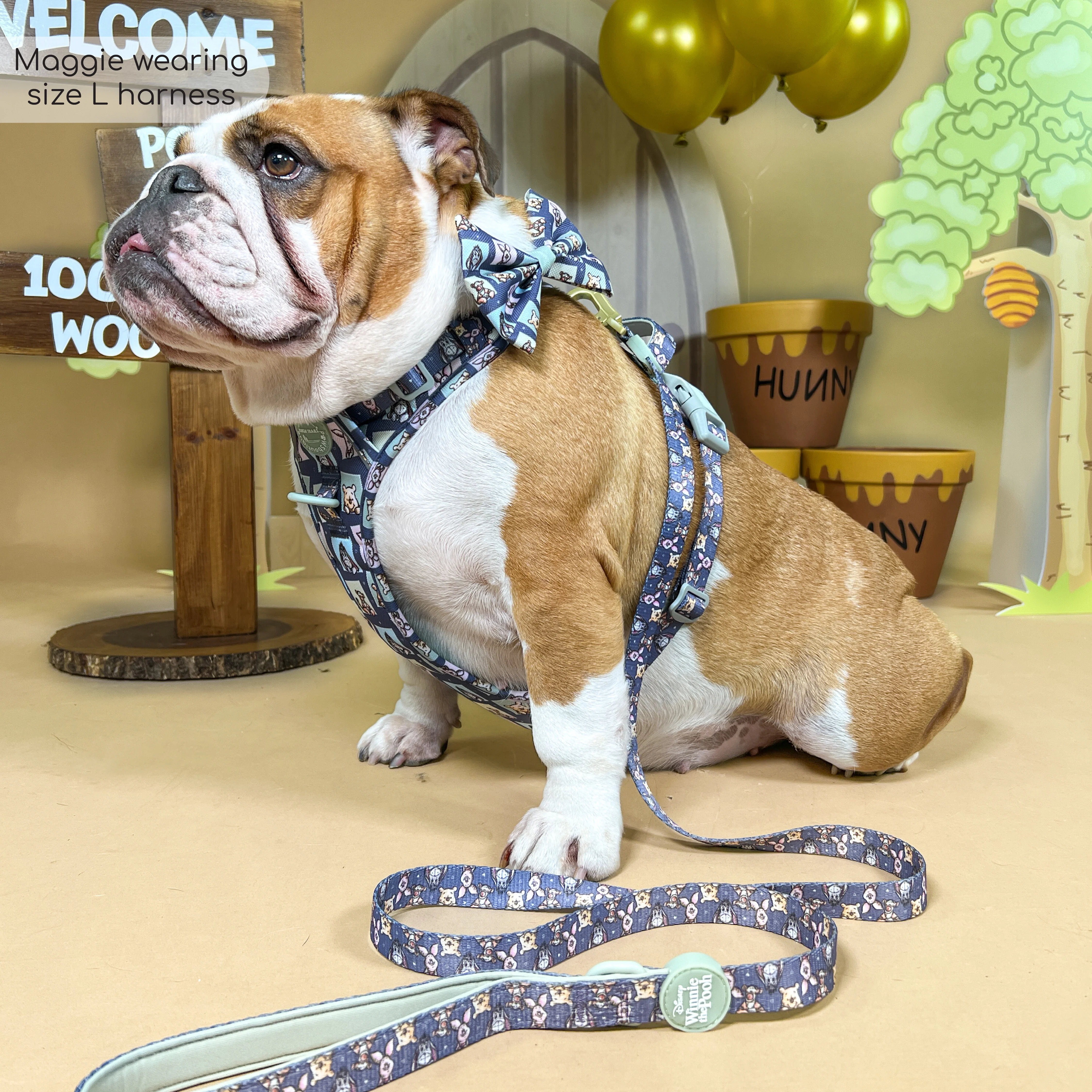 Disney© Tough Trails™ Harness -  Winnie + Friends - Image 18