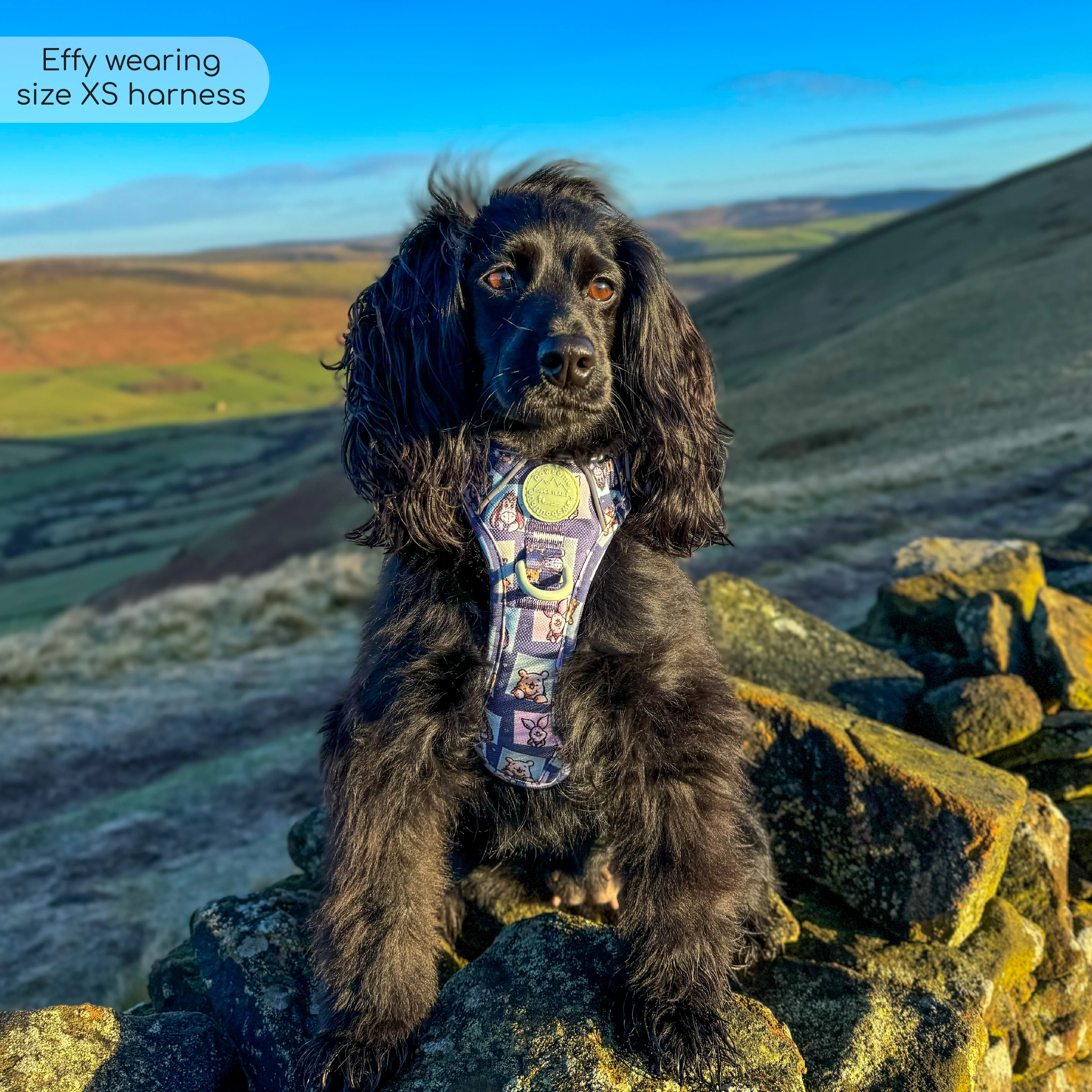 Disney© Tough Trails™ Harness -  Winnie + Friends - Image 39