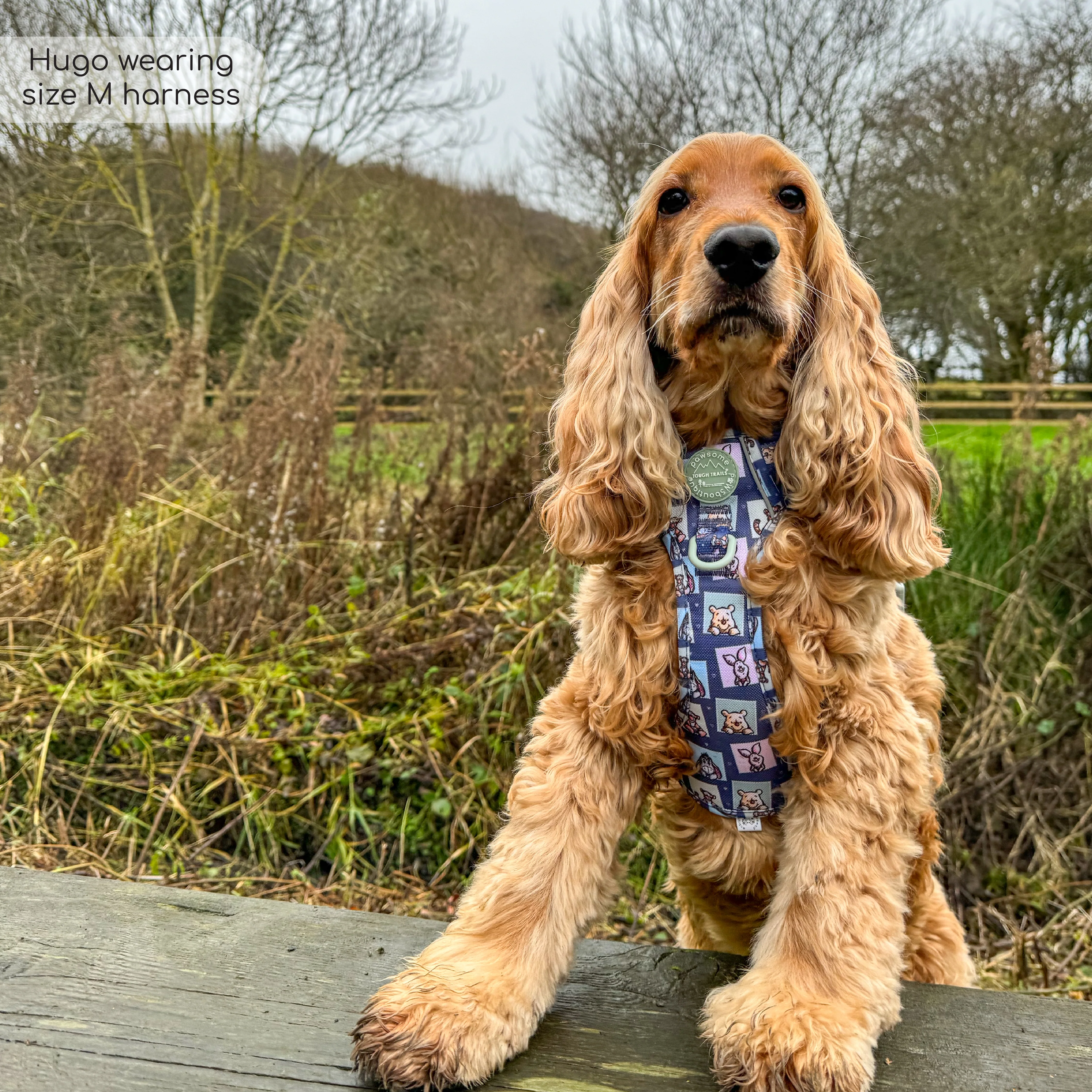 Disney© Tough Trails™ Harness -  Winnie + Friends - Image 44